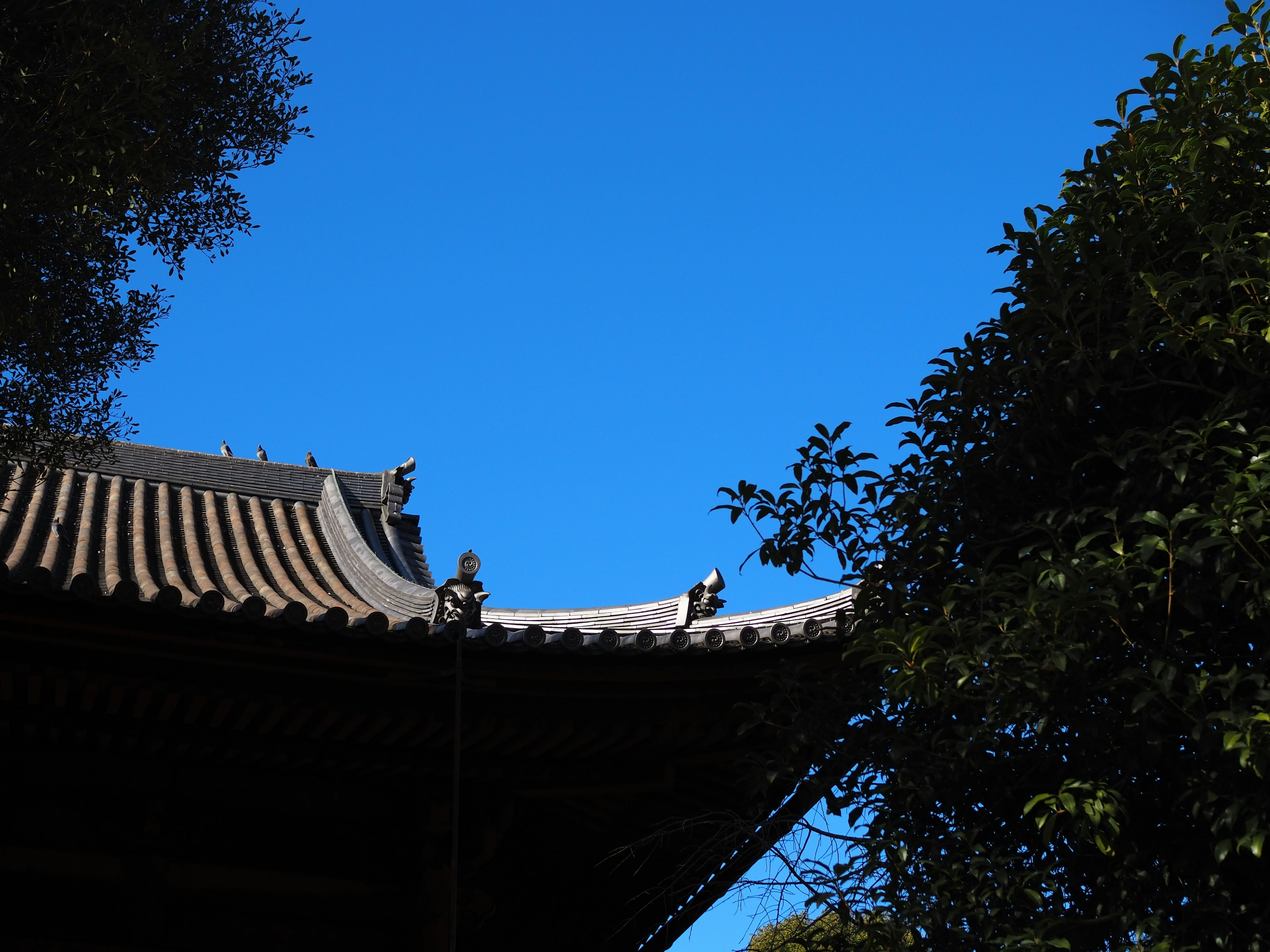 青空の下に古い建物の屋根が見える