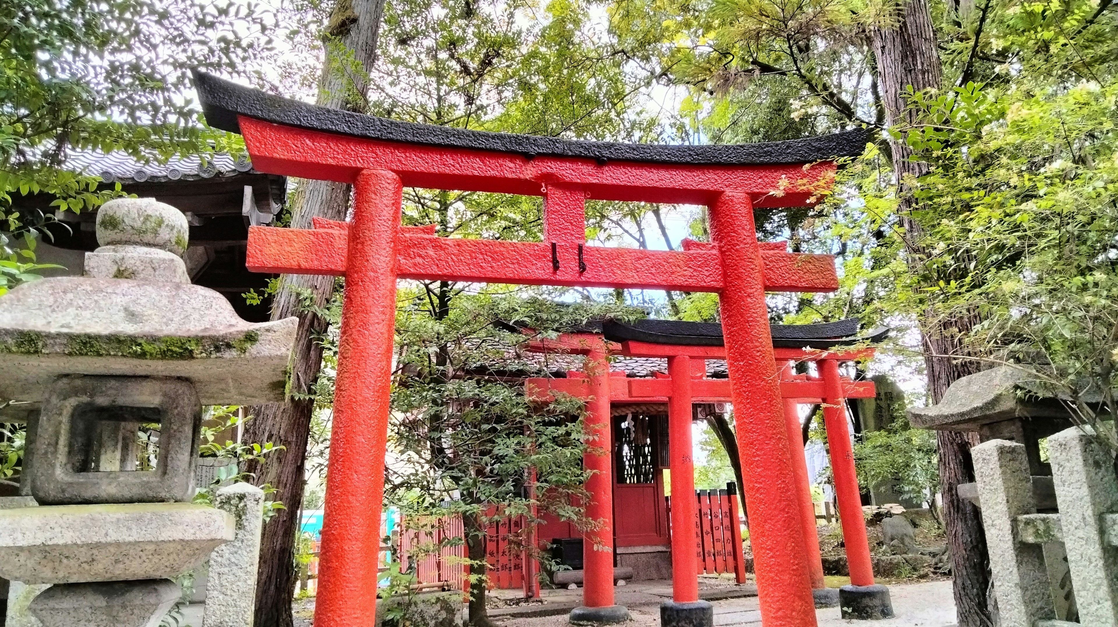 Cổng torii đỏ và đèn đá trong đền thờ