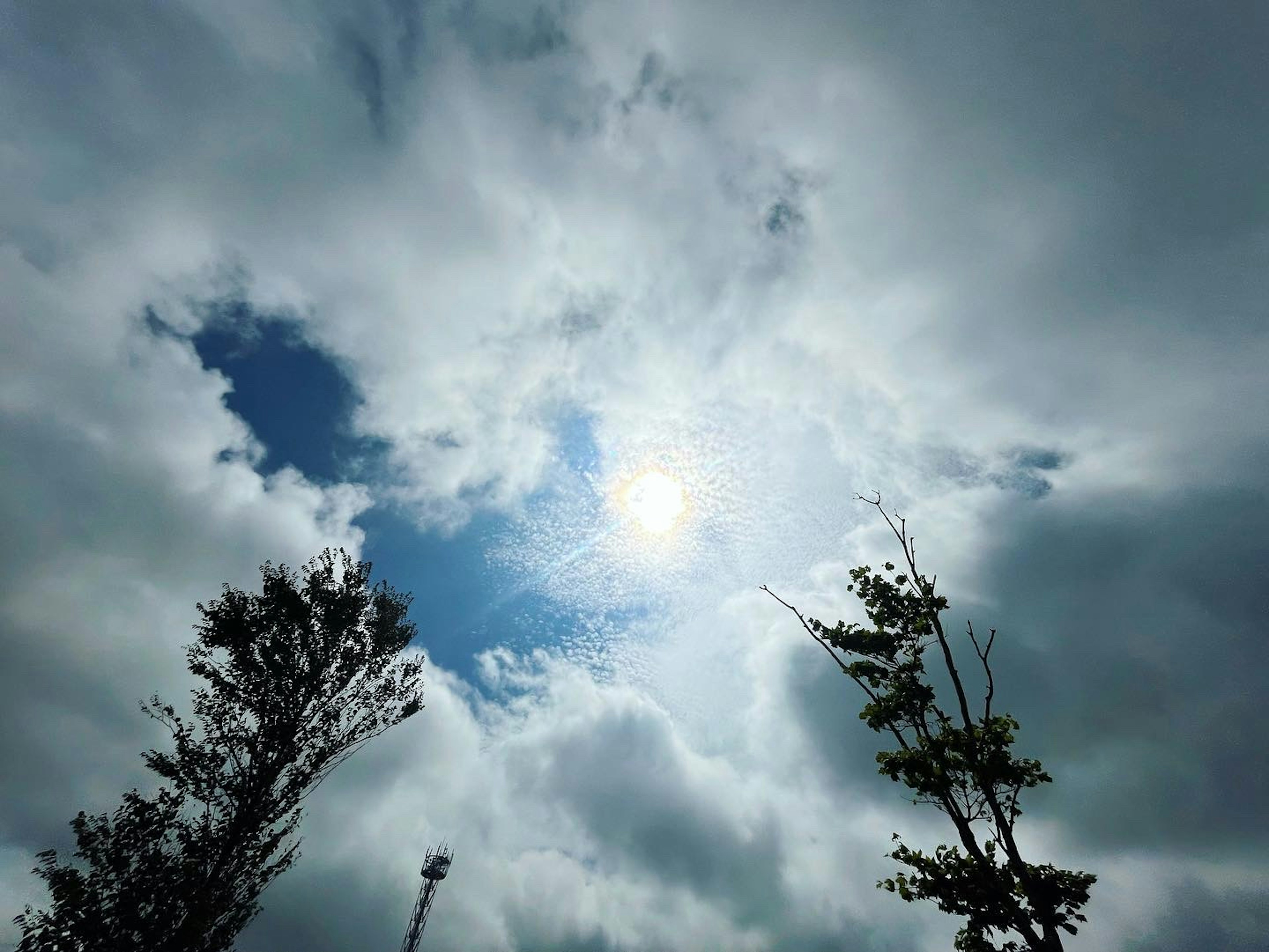 Sun peeking through cloudy sky with silhouettes of trees