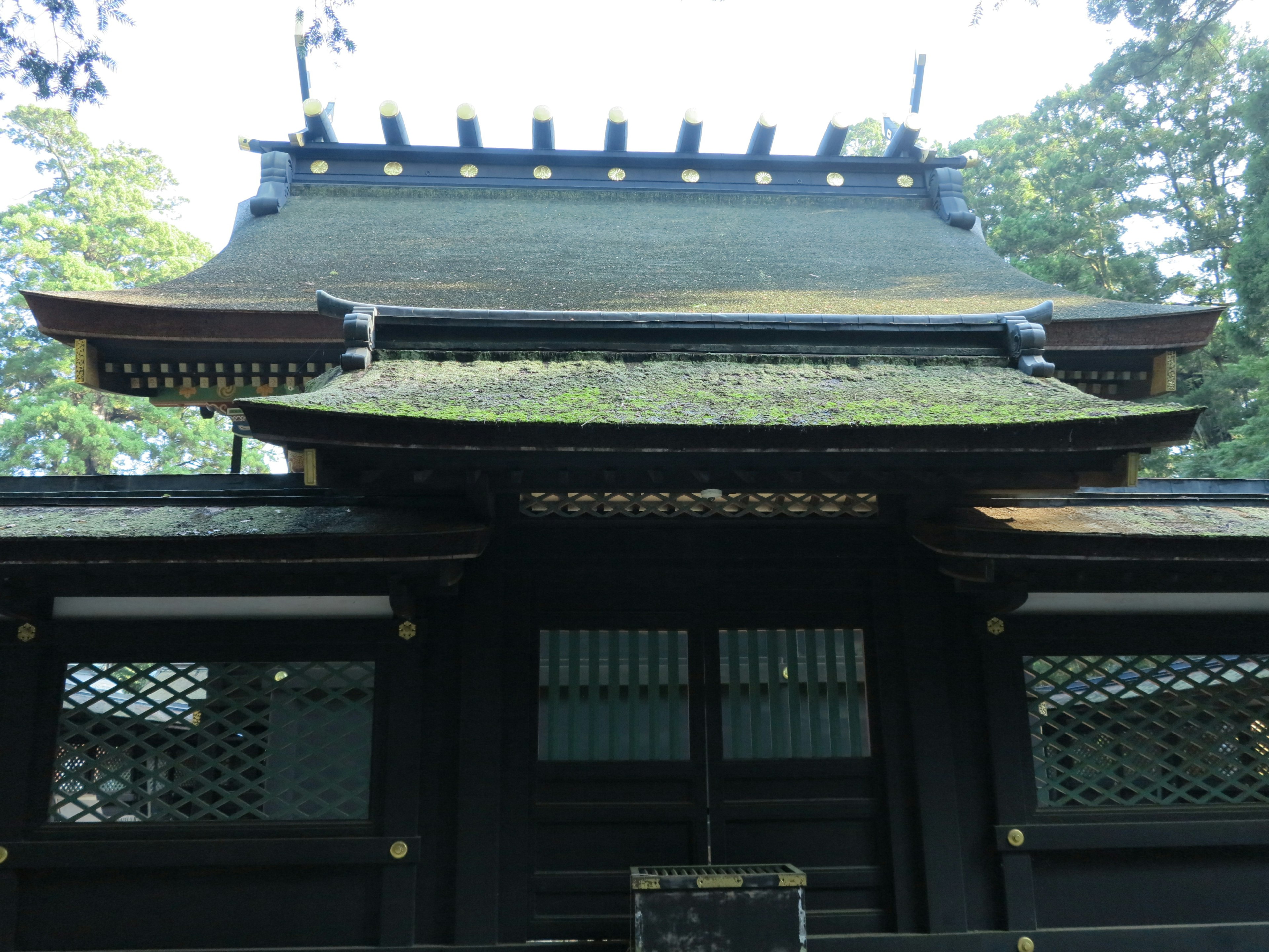 Techo de santuario japonés tradicional cubierto de musgo verde y arquitectura de madera