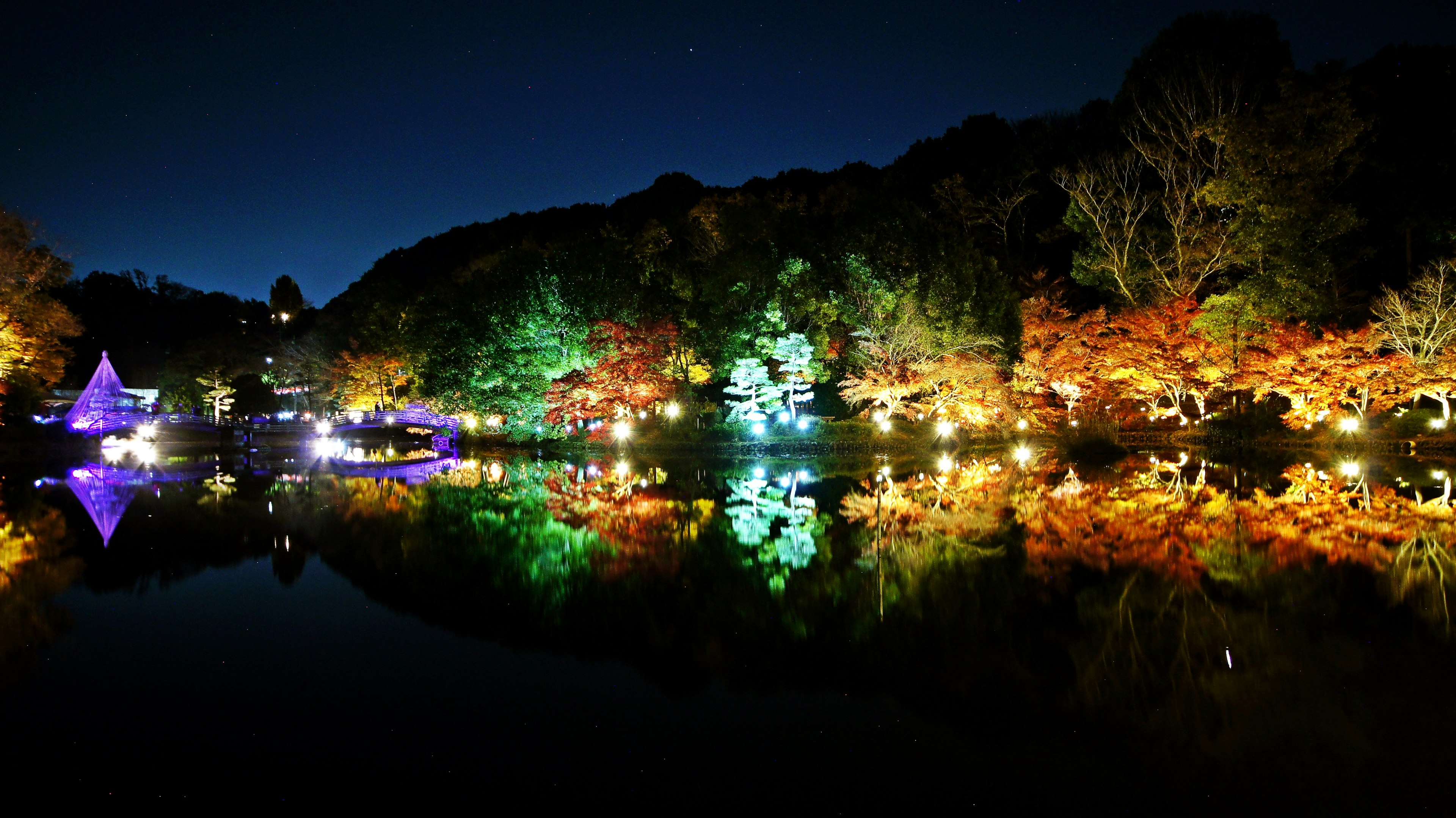 Beautiful night scene of a pond illuminated by colorful lights reflecting on trees