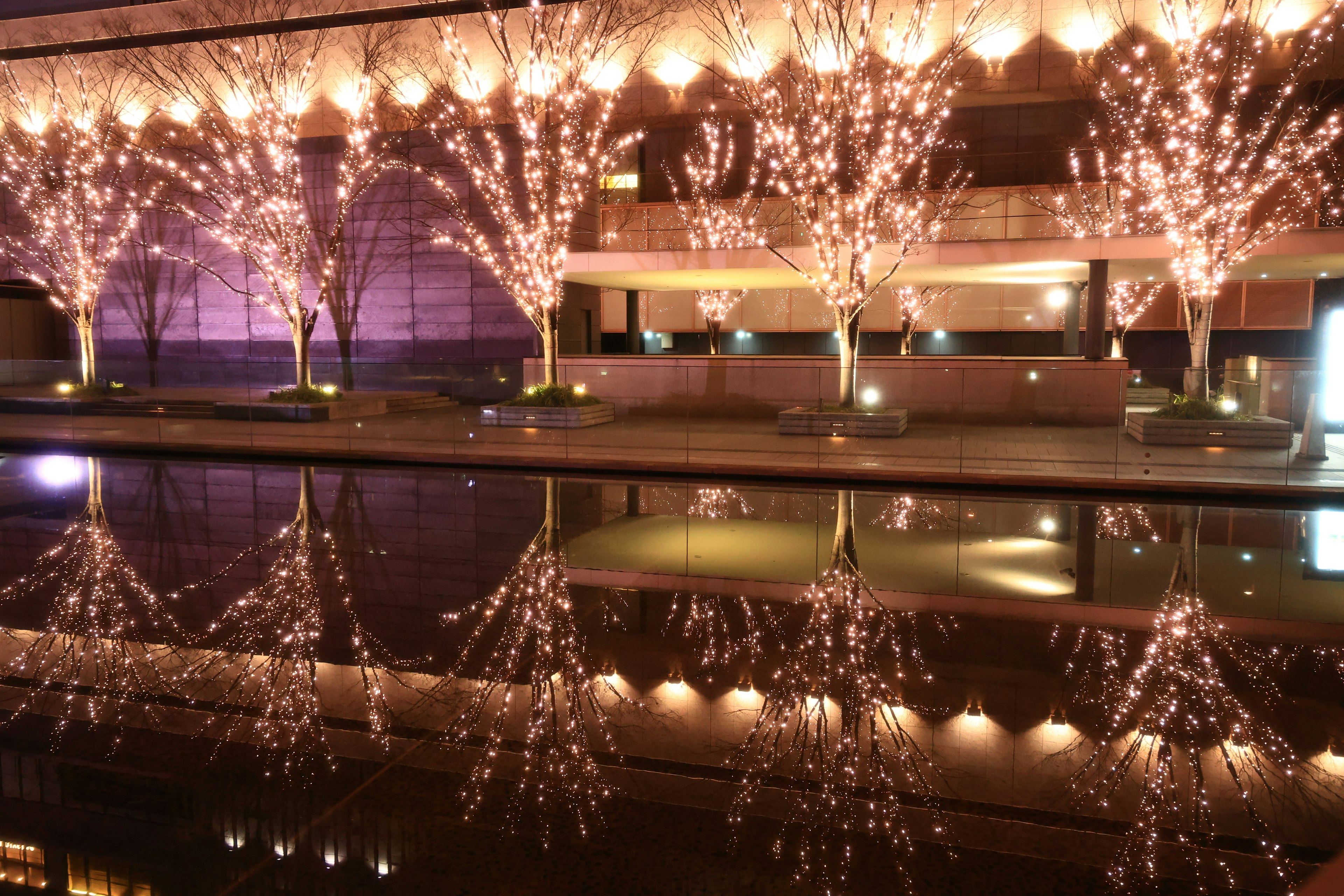 Beautiful scene of illuminated trees reflected in the water