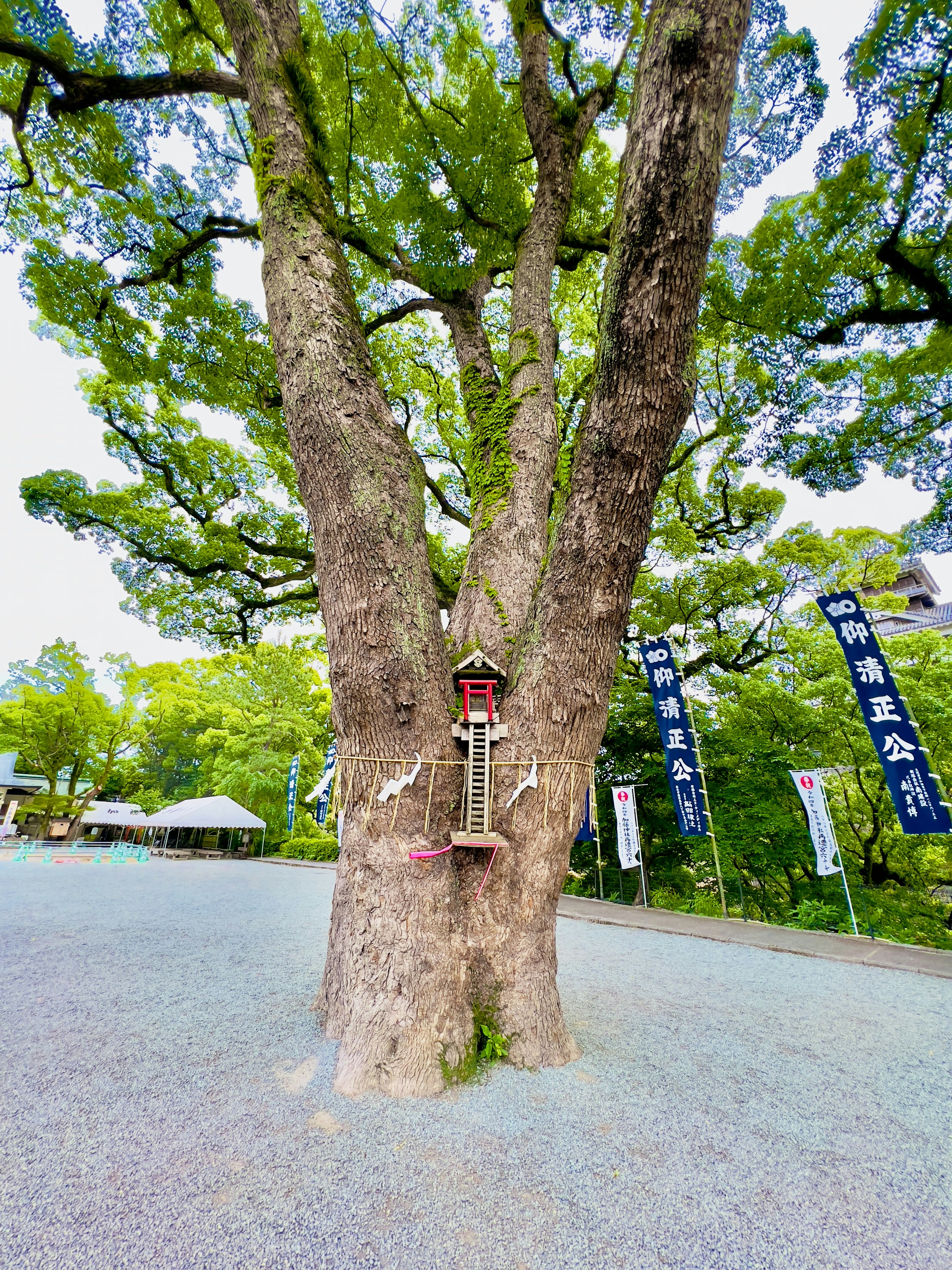 Ein großer Baum mit einer dekorativen Figur zwischen seinen Stämmen und umliegenden Bannern