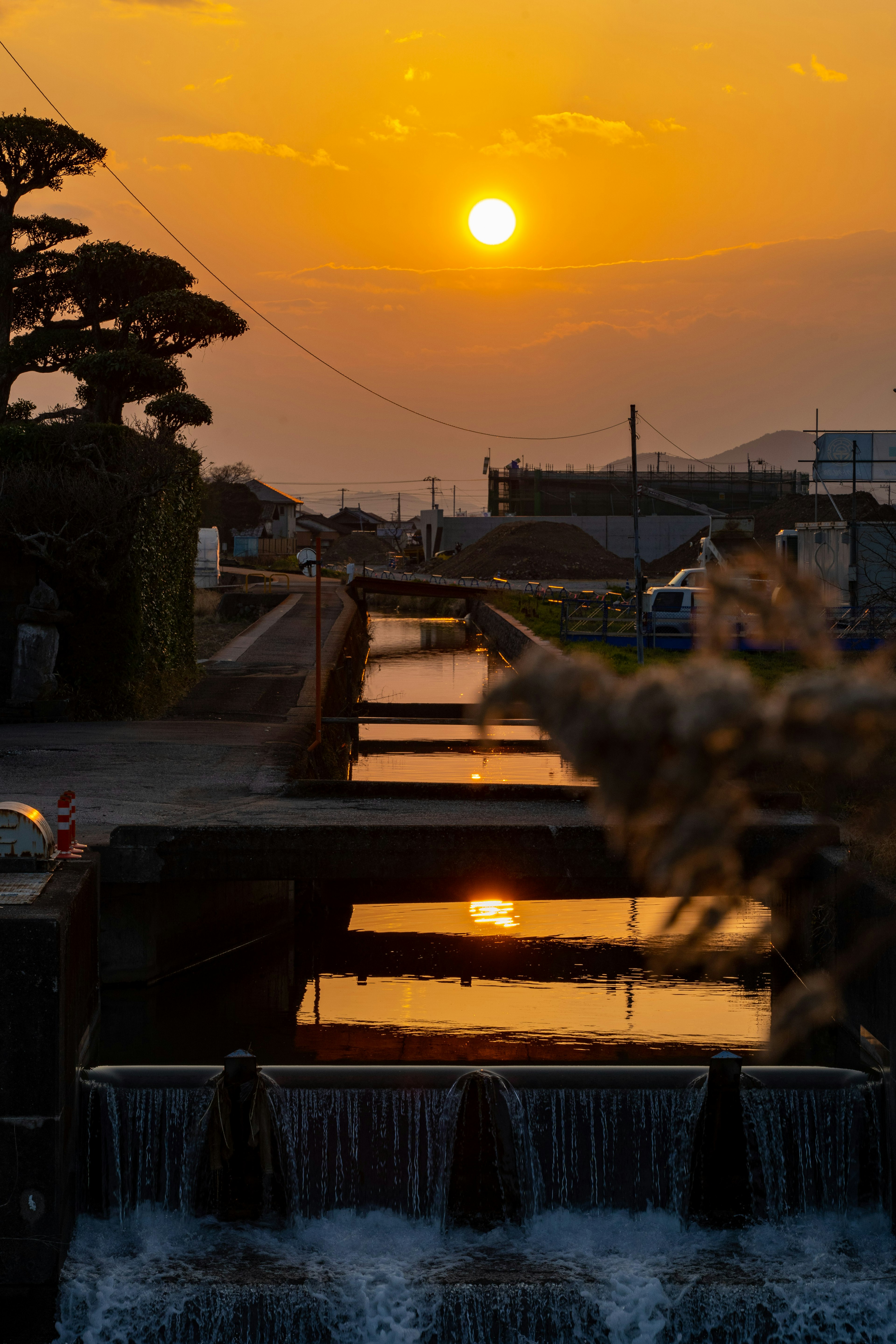 夕日が沈む水辺の風景と竹やぶ