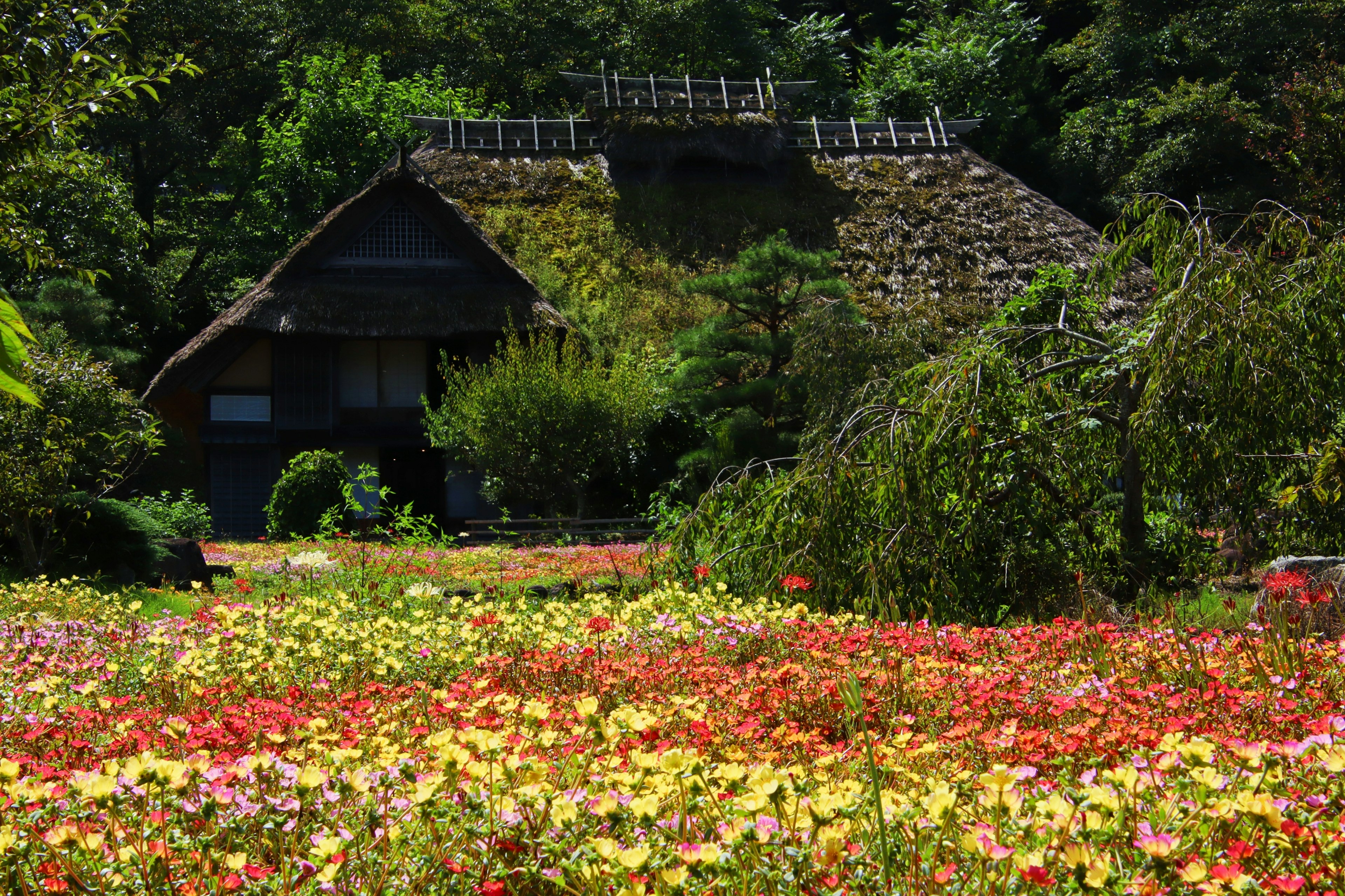 Casa antigua con techo de paja rodeada de un vibrante jardín de flores