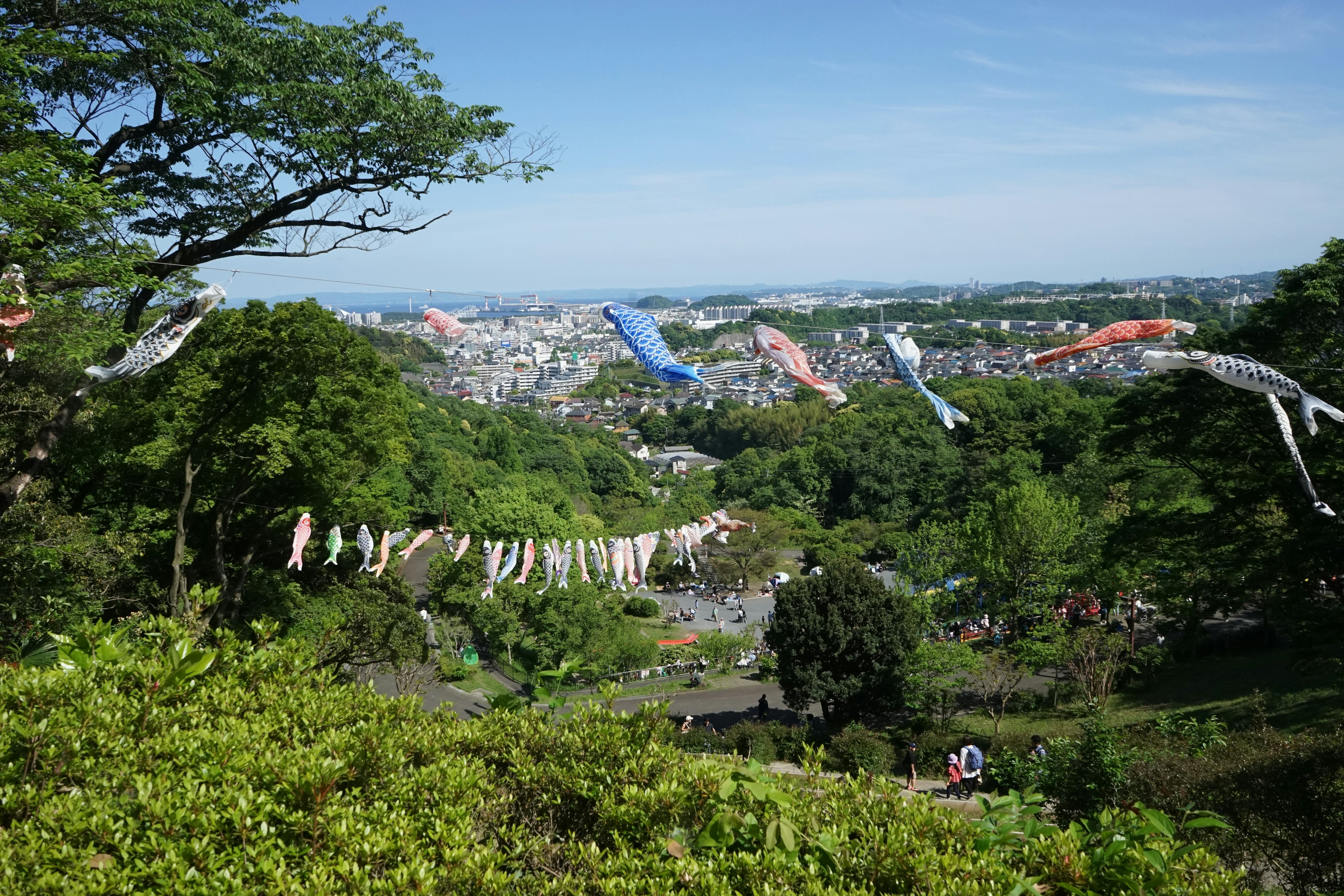 Pemandangan indah vegetasi subur di bawah langit biru dengan bendera koinobori berwarna-warni