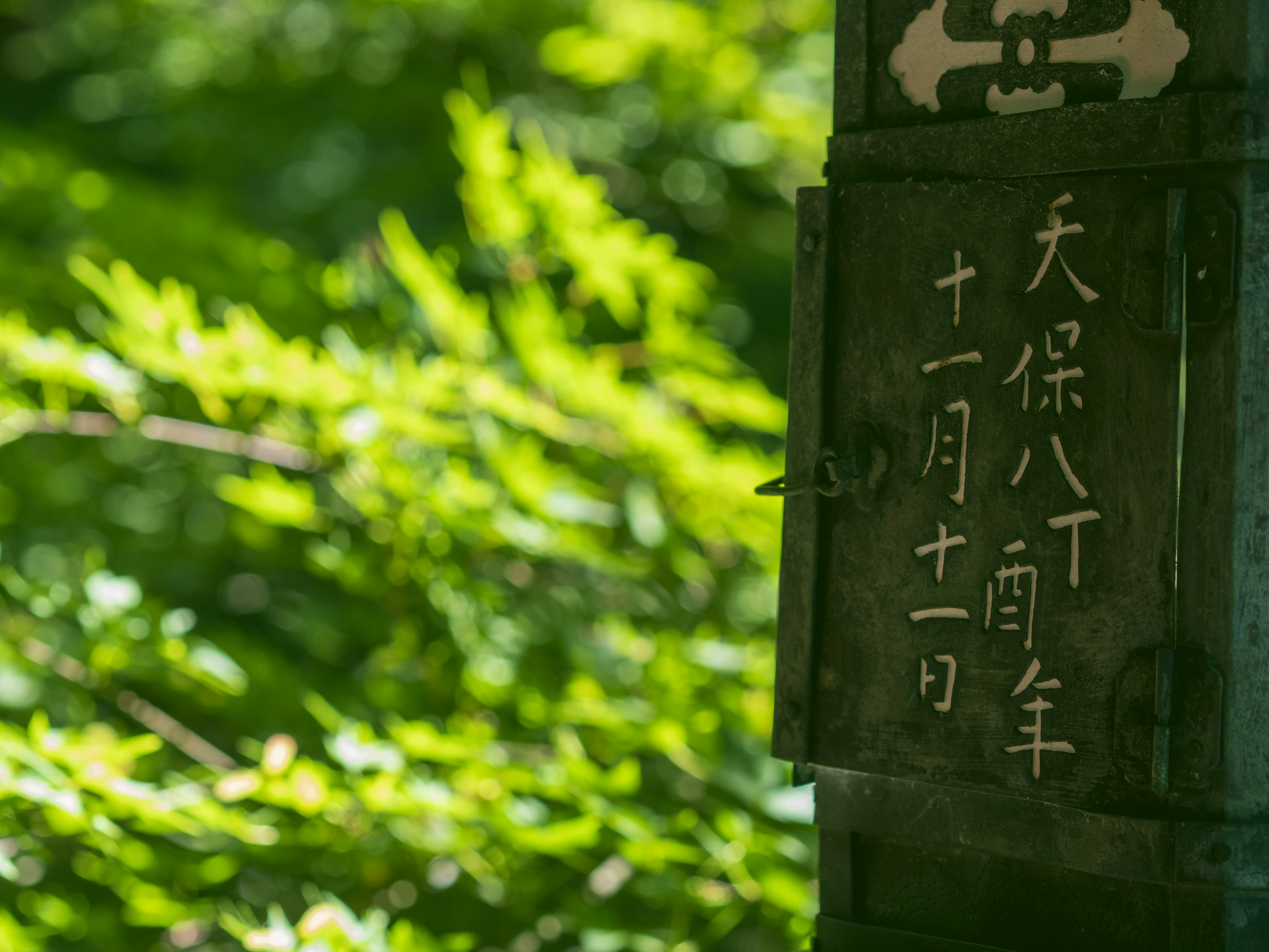 Un vieux panneau avec des caractères japonais devant un fond de feuilles vertes