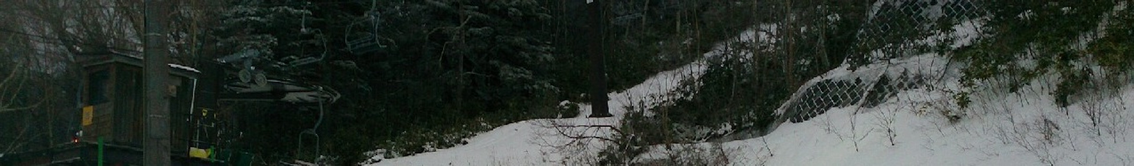 Camino cubierto de nieve con árboles verdes al fondo