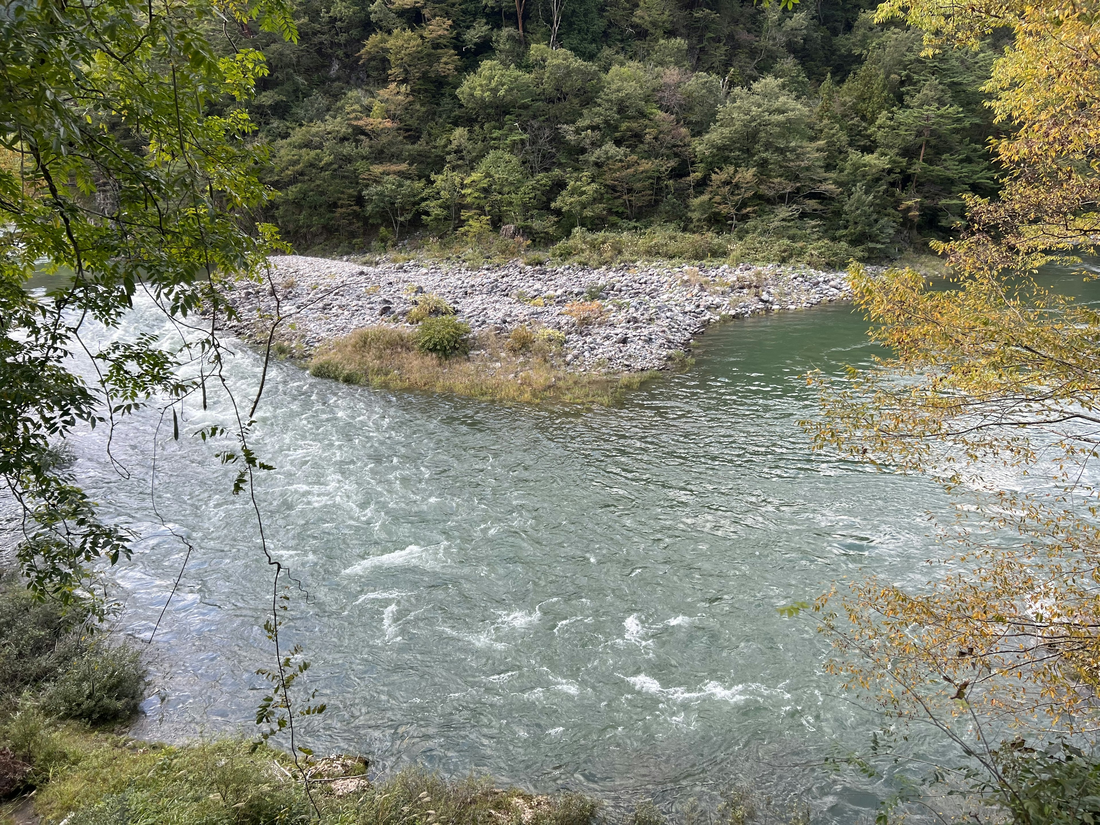 Fiume calmo che scorre tra alberi verdi