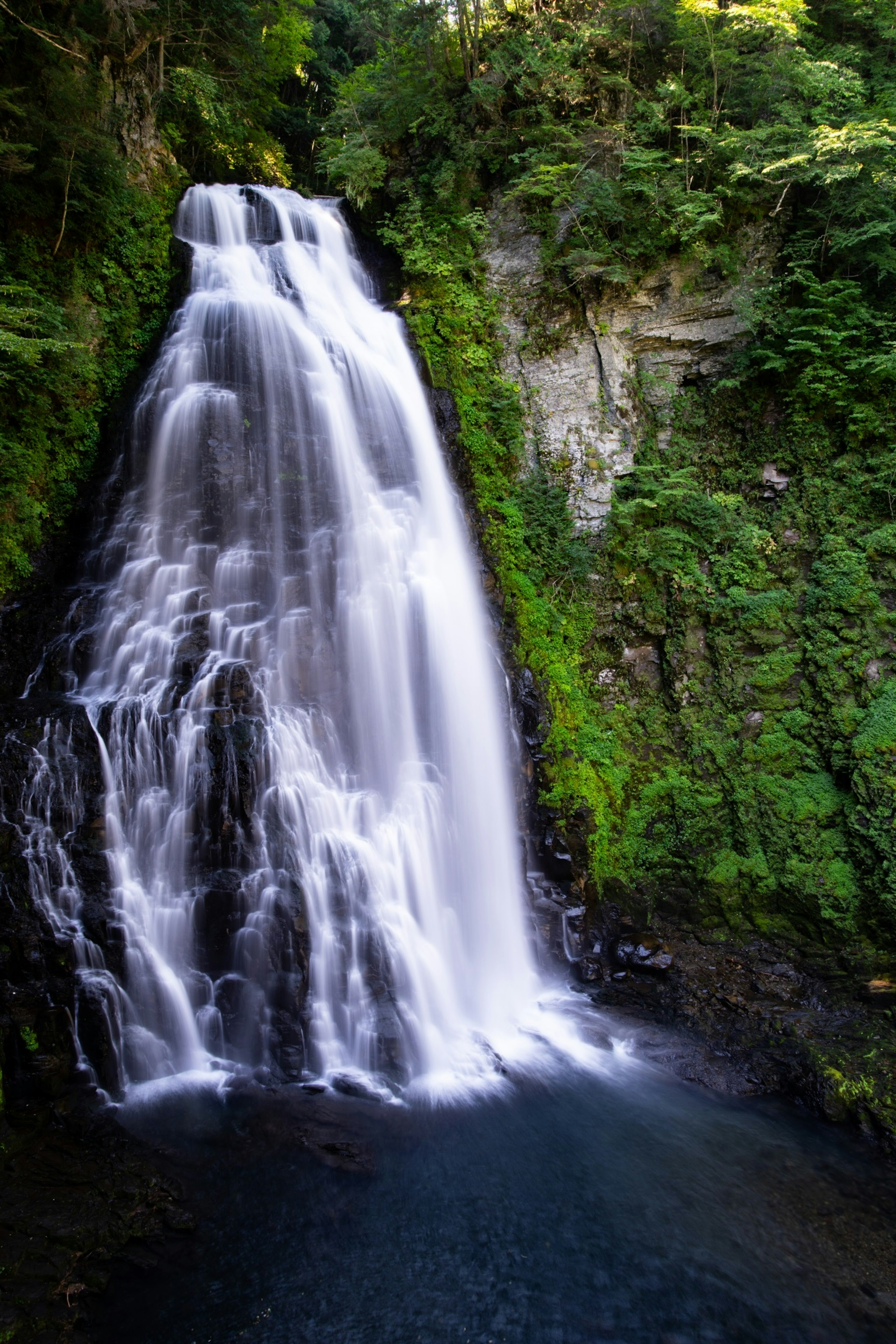 Une belle cascade tombant à travers une forêt verte luxuriante