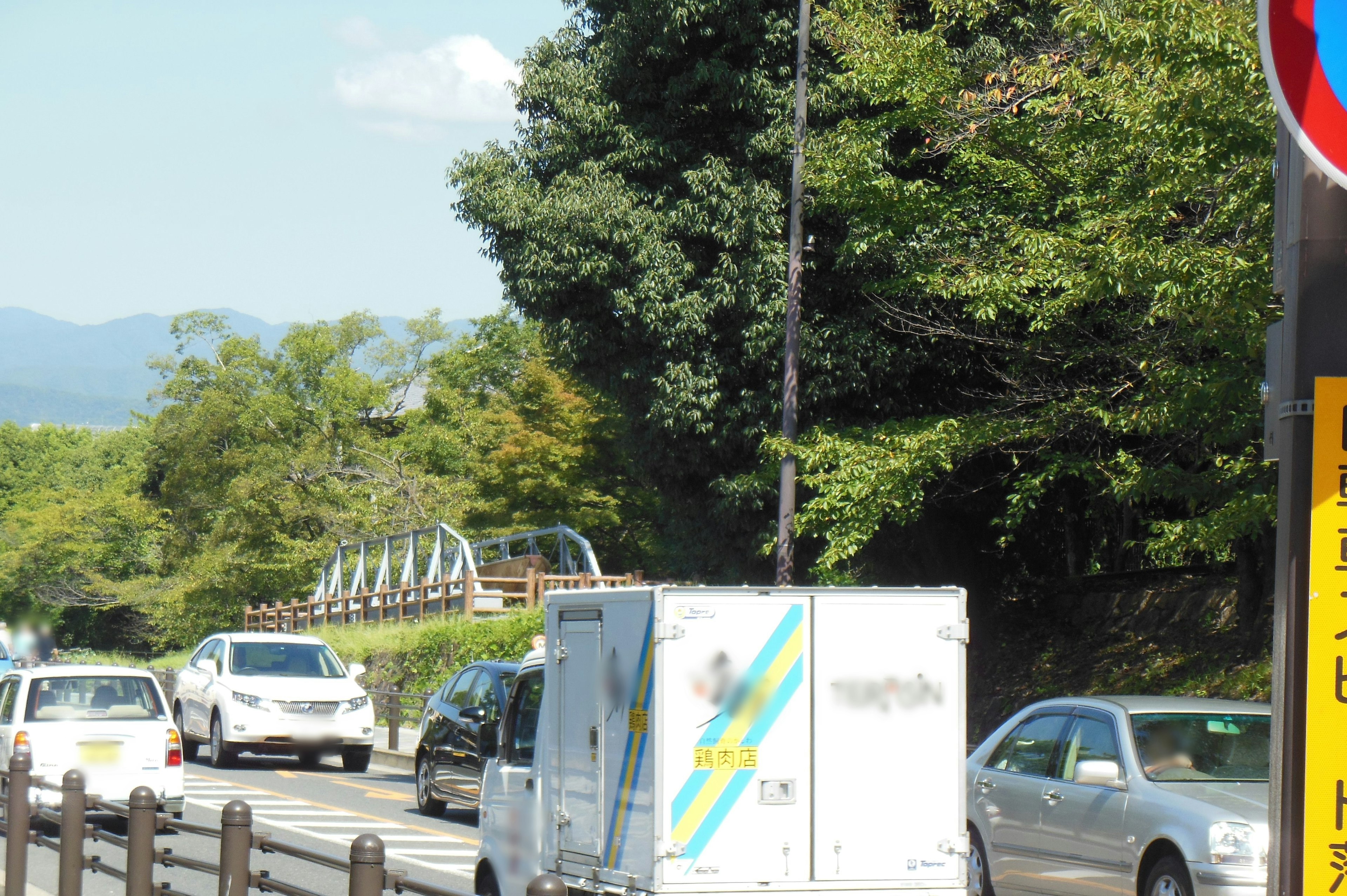 道路场景，有商业卡车和汽车，被绿色植物环绕