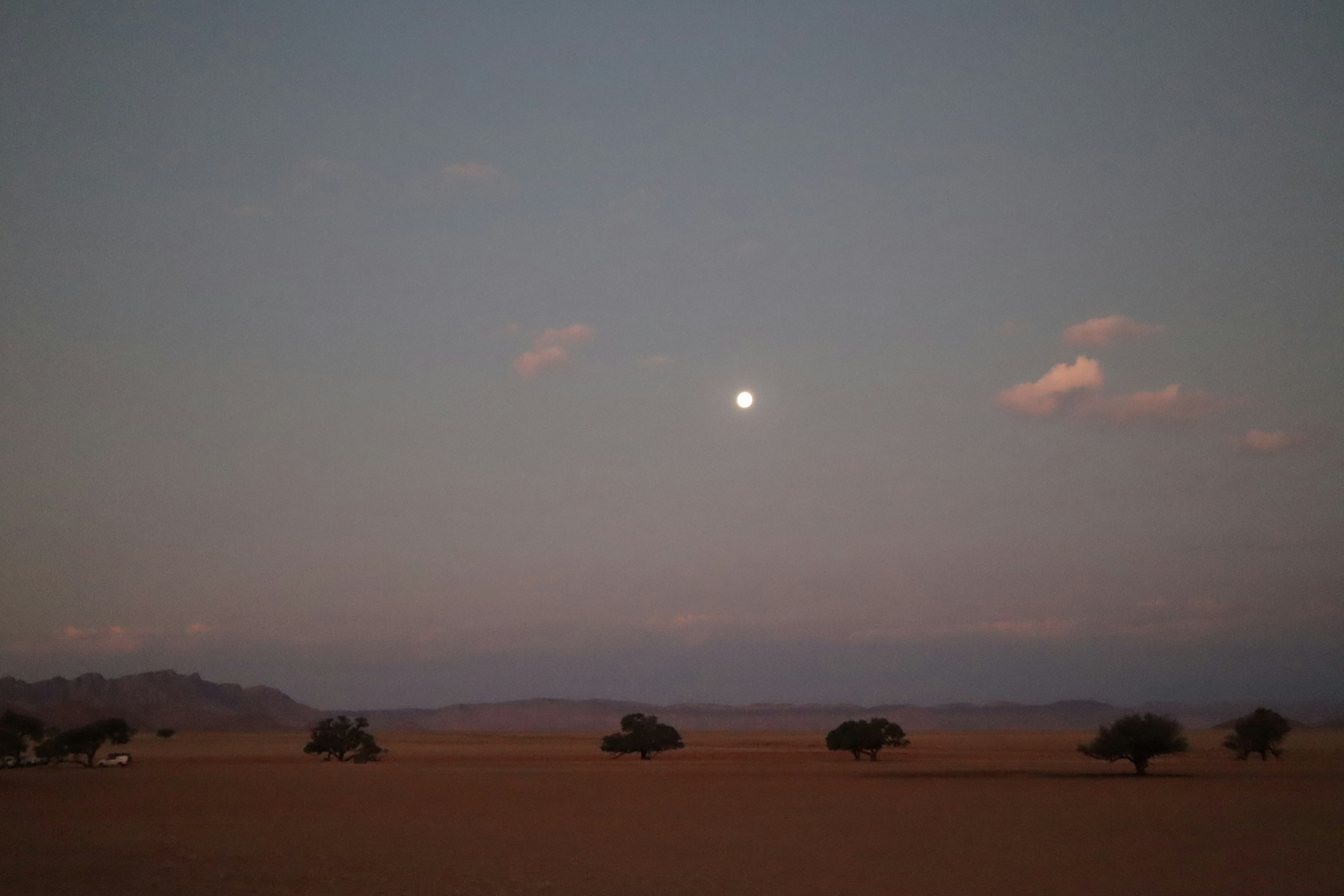 Moonrise over a vast landscape with scattered trees at dusk