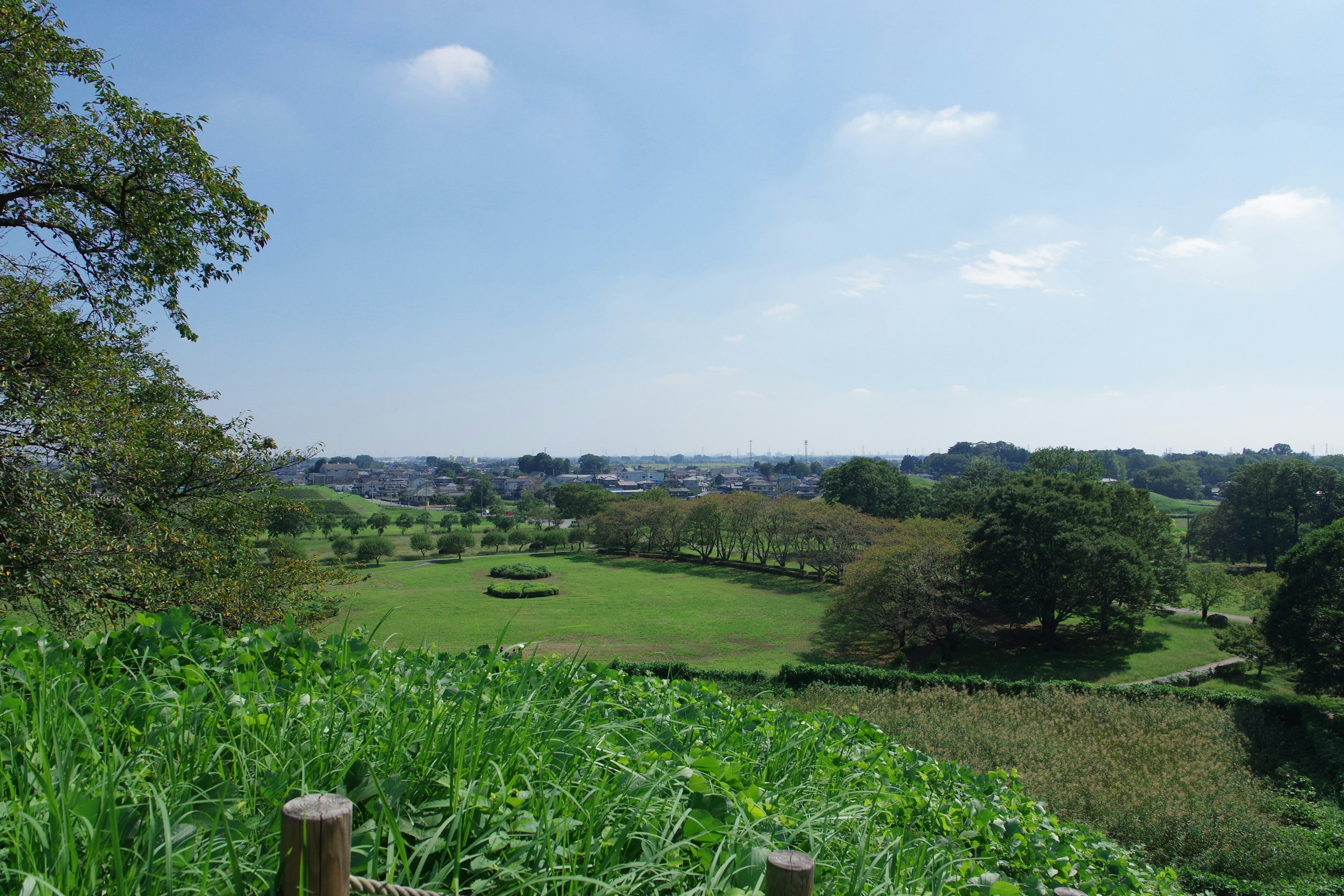 Weitläufige grüne Landschaft unter einem blauen Himmel