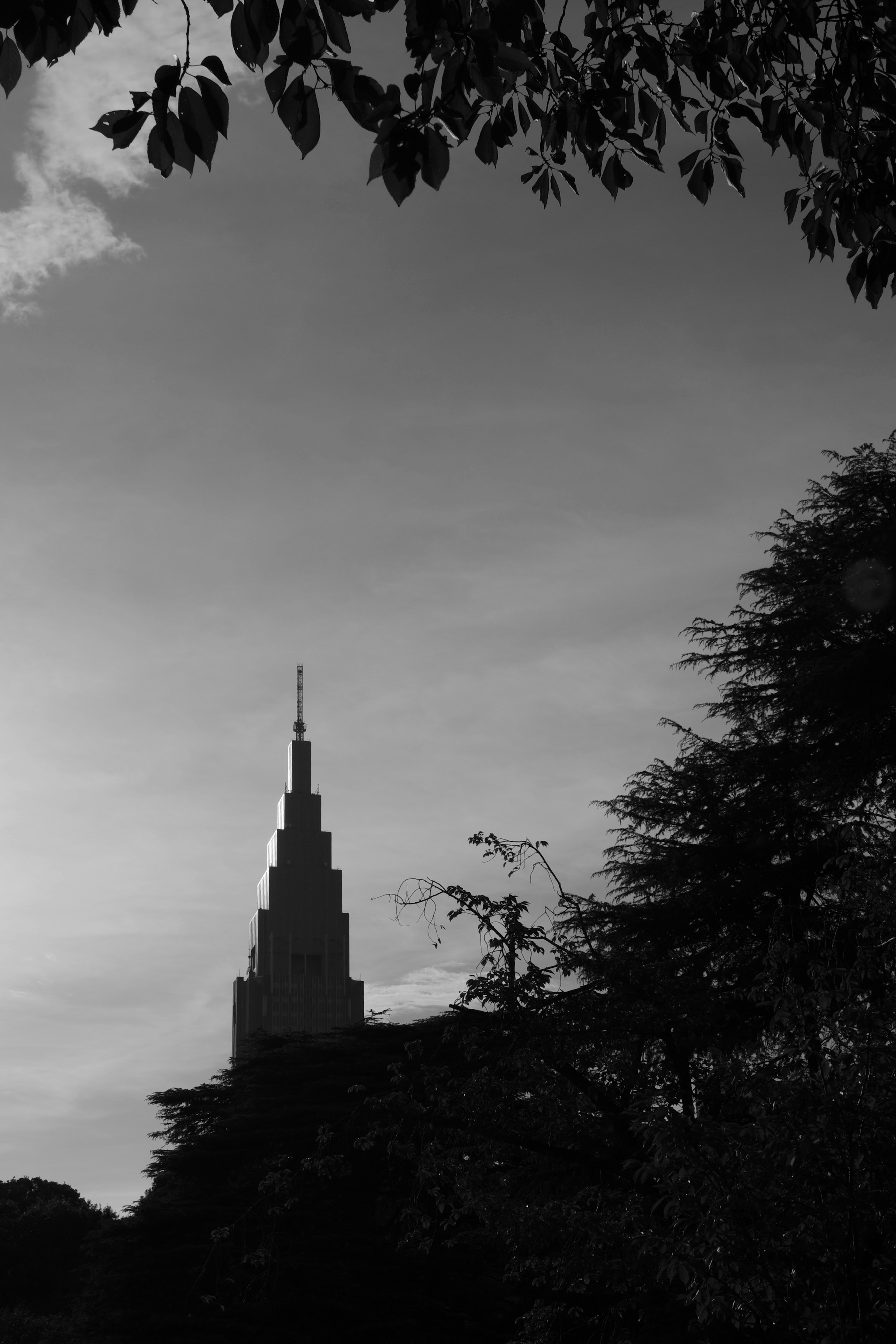 Silhouette of a skyscraper spire against a monochrome background with trees