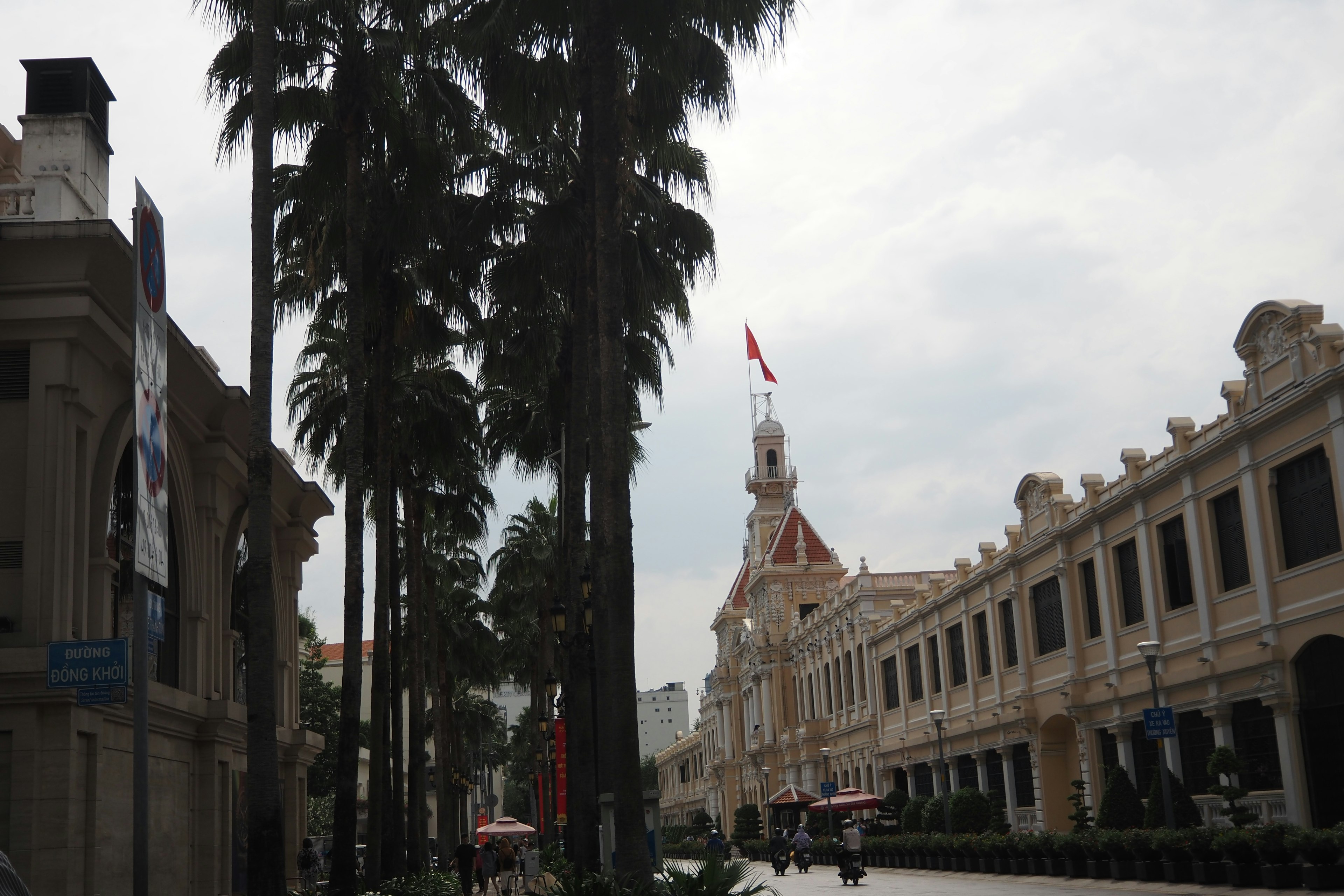 胡志明市街景，棕榈树与历史建筑