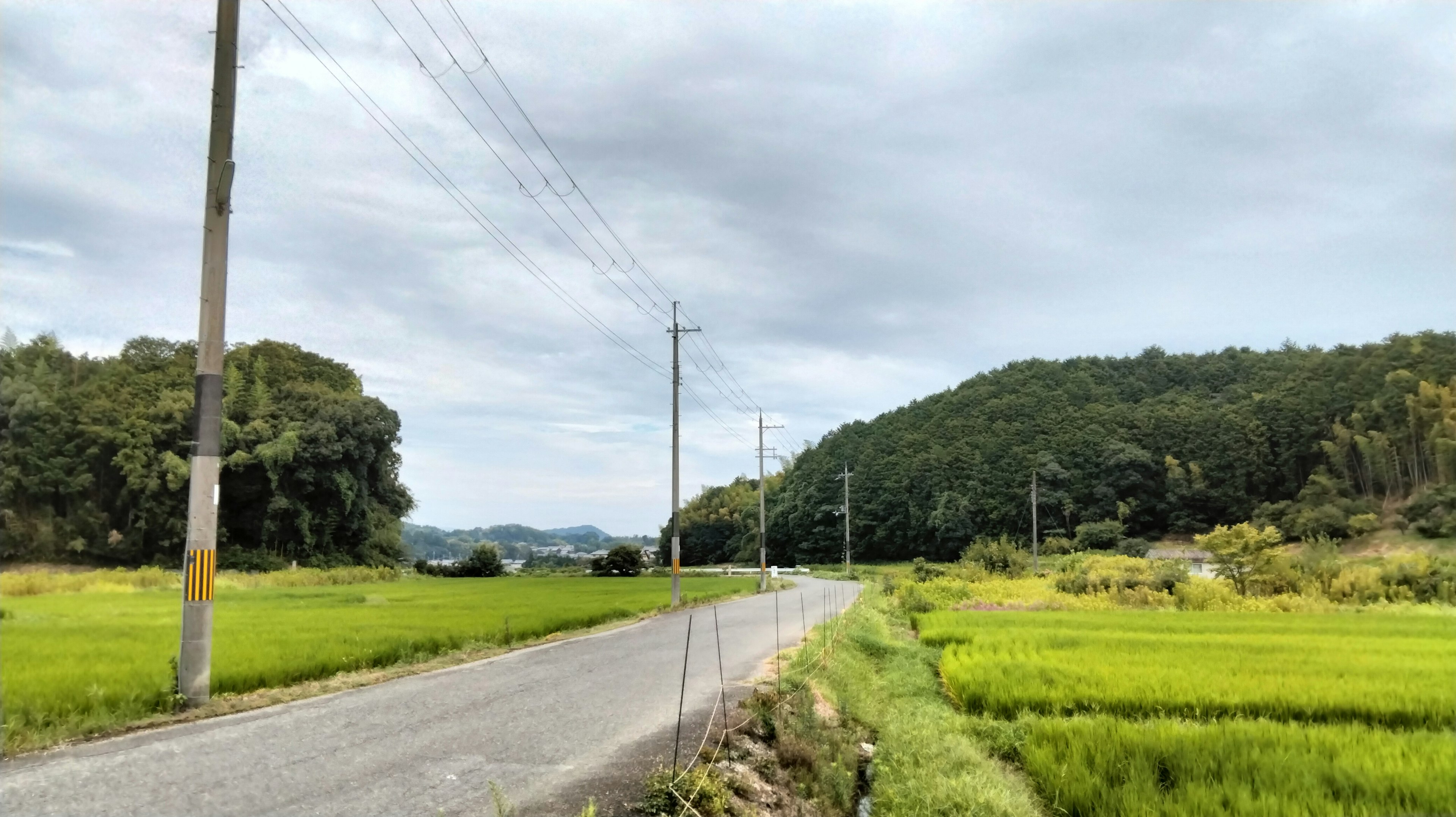 Unpaved road beside rice fields with power lines and hills in the background