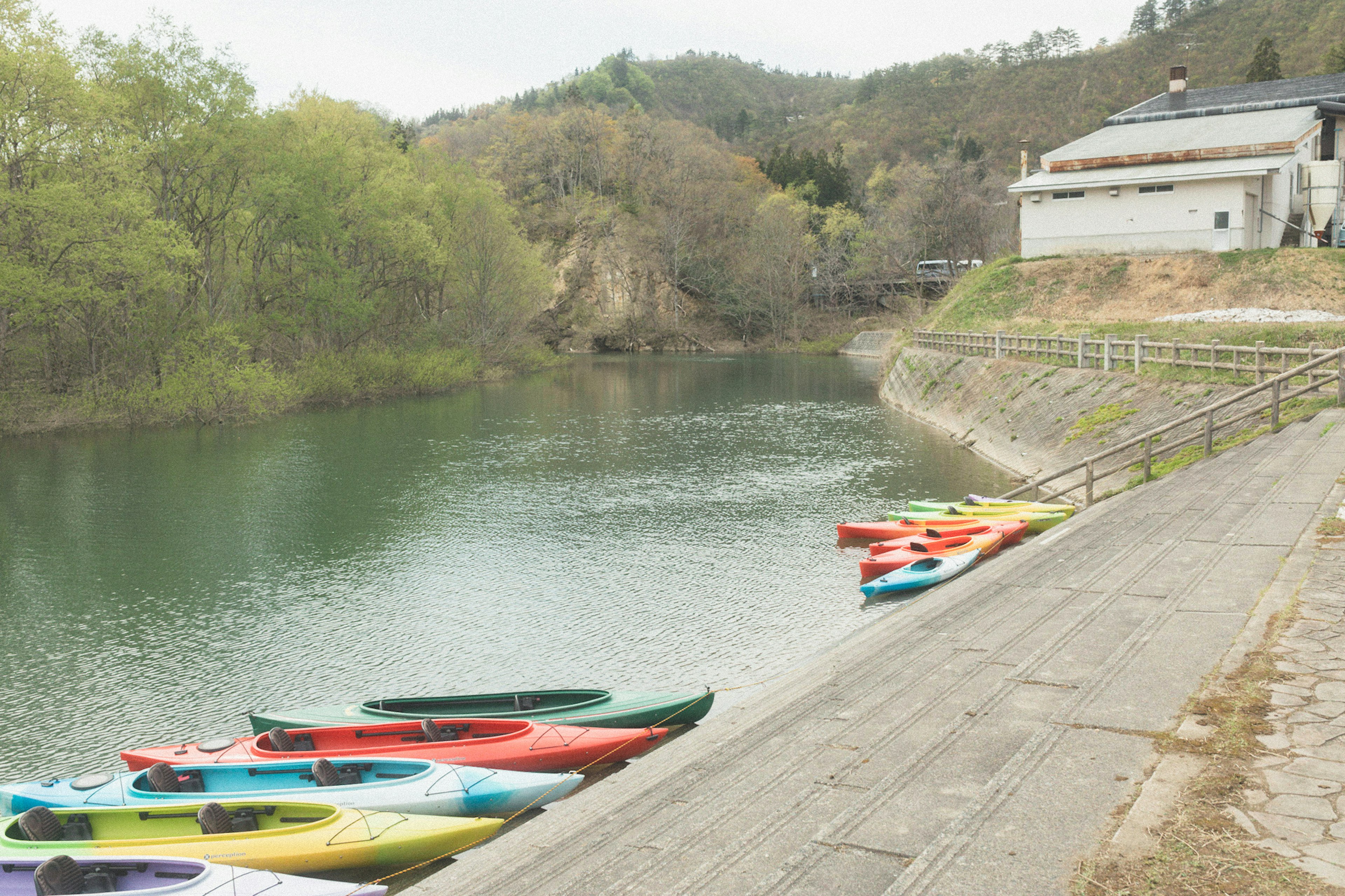 Colorful kayaks lined up along a tranquil riverbank