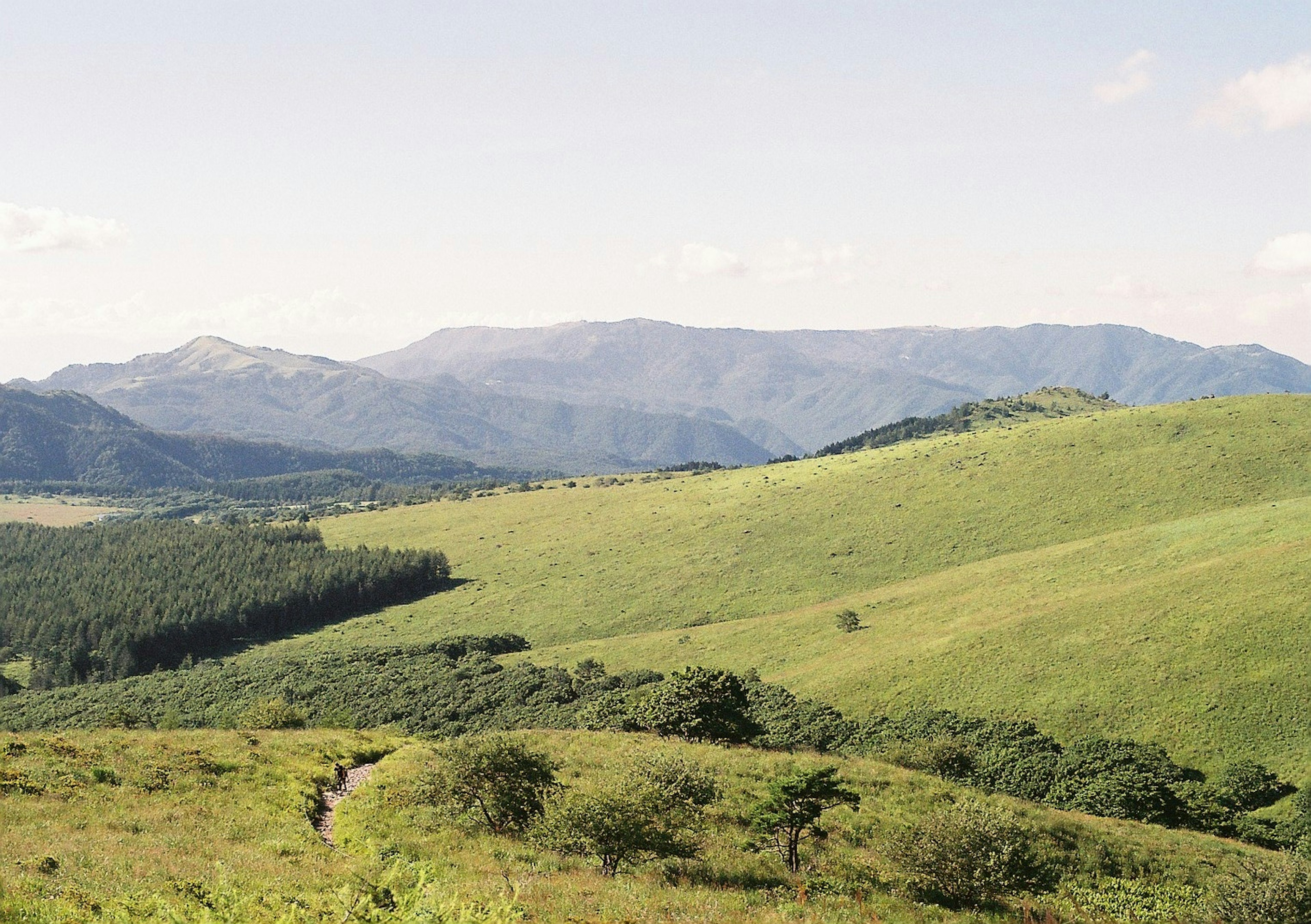 広大な緑の丘と遠くの山々の風景