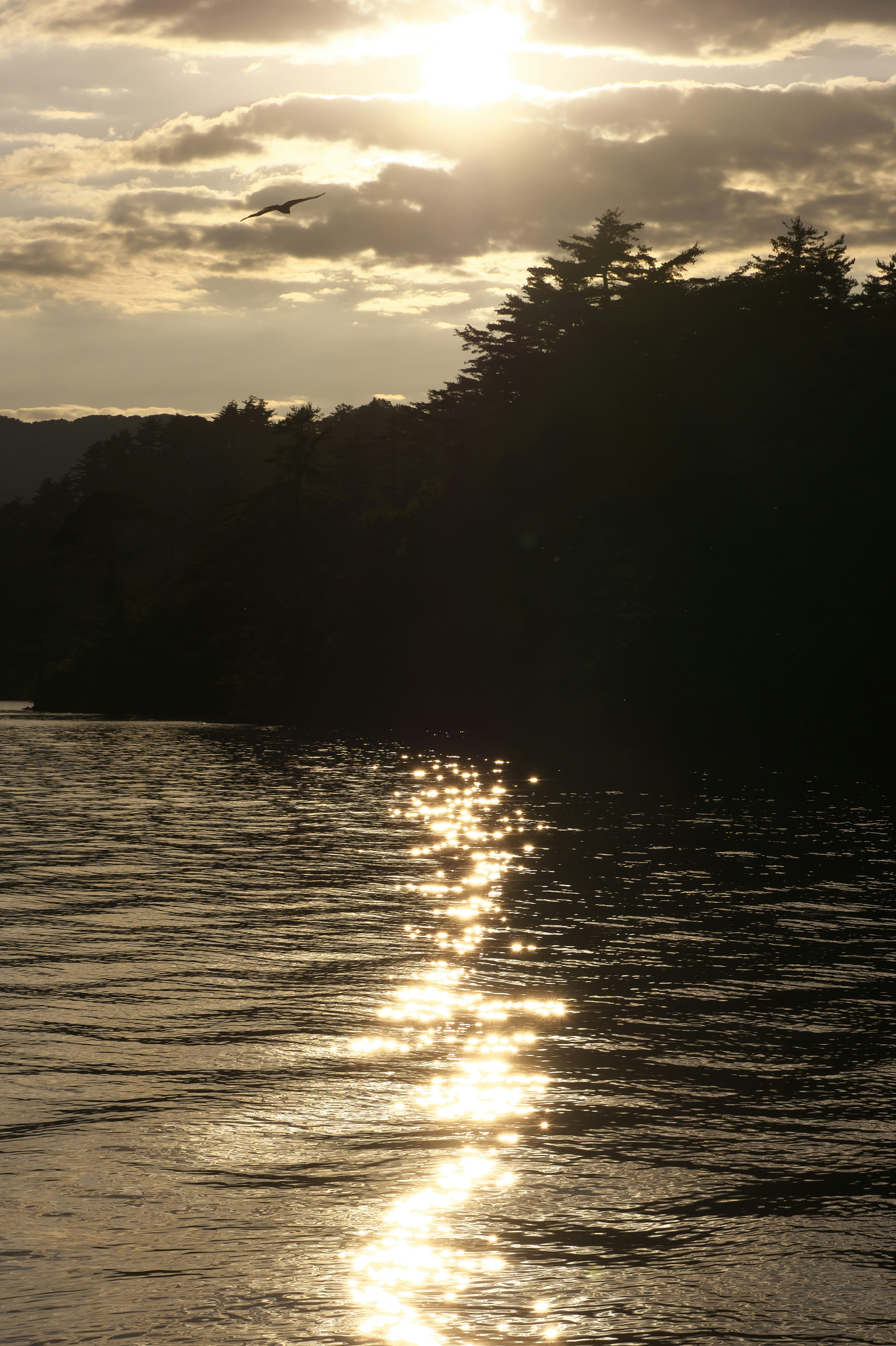 夕日が反射する穏やかな湖の風景