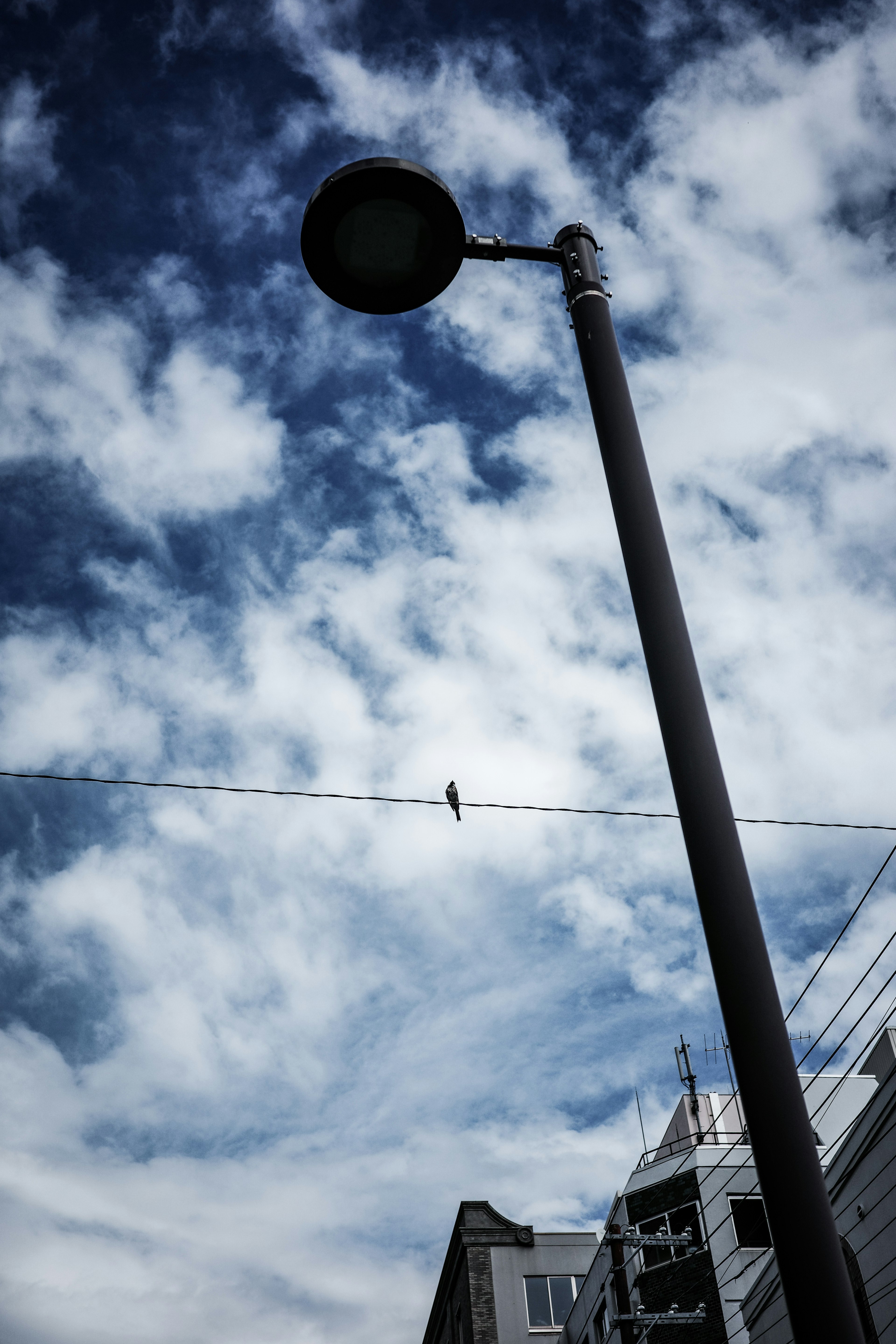 街灯と青い空に浮かぶ雲と電線の上にいる小鳥