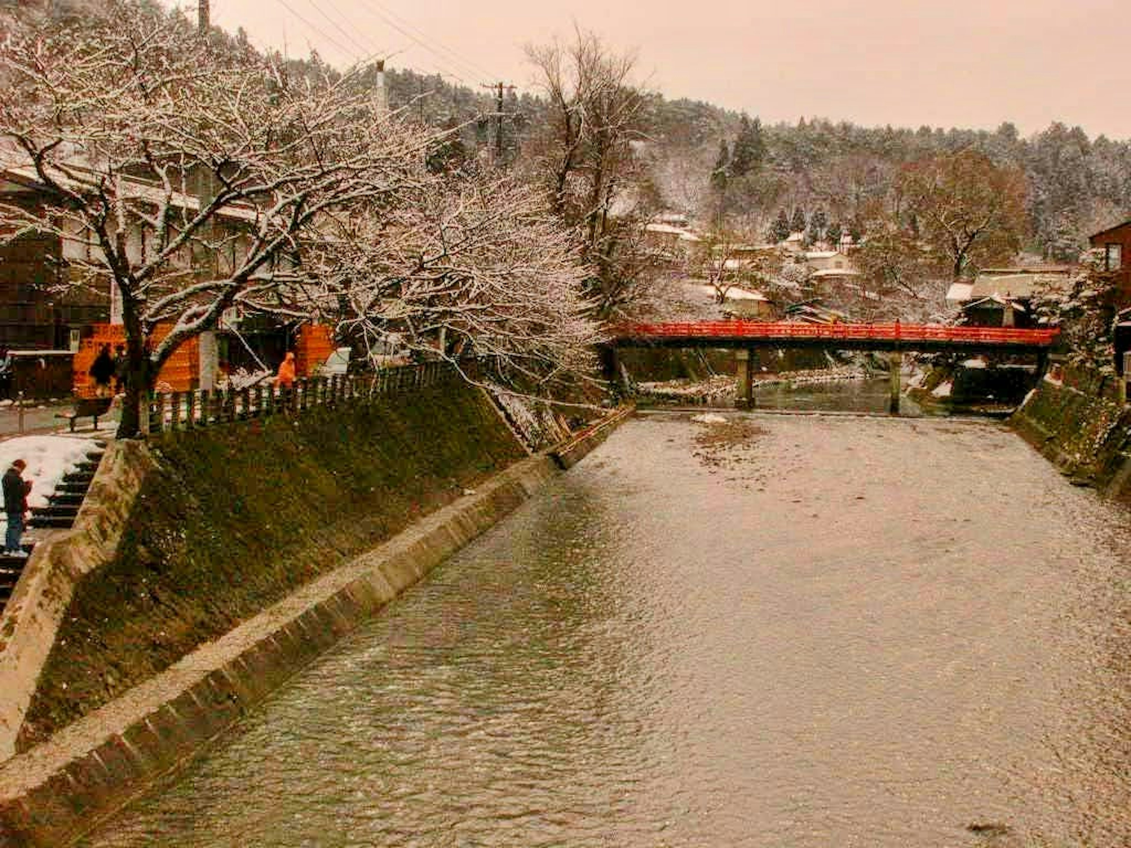 冬季景观雪覆盖的河流和樱花树红色桥