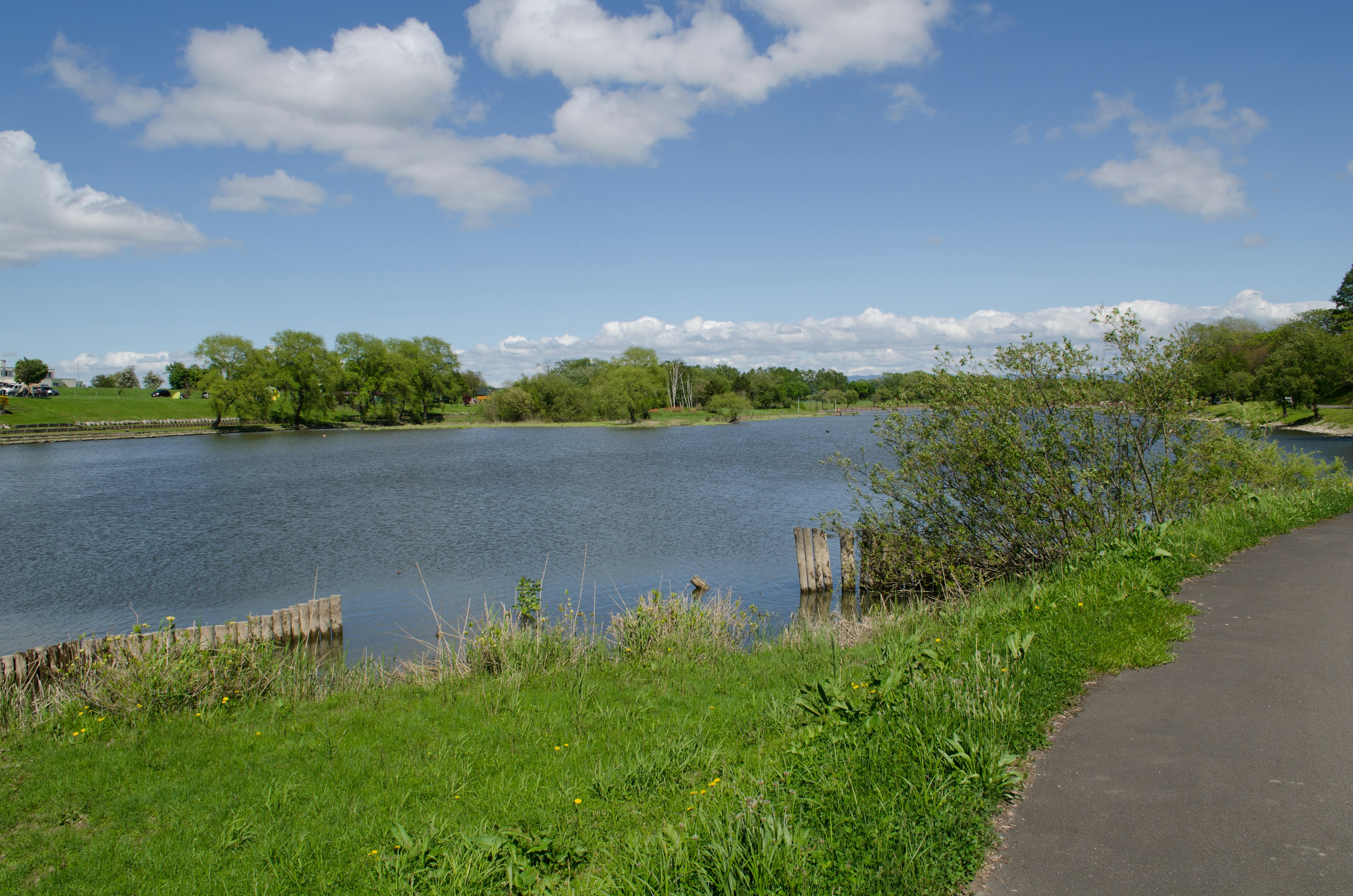 Malersicher Blick auf einen ruhigen Fluss unter blauem Himmel mit weißen Wolken üppige grüne Ufer und einen Weg