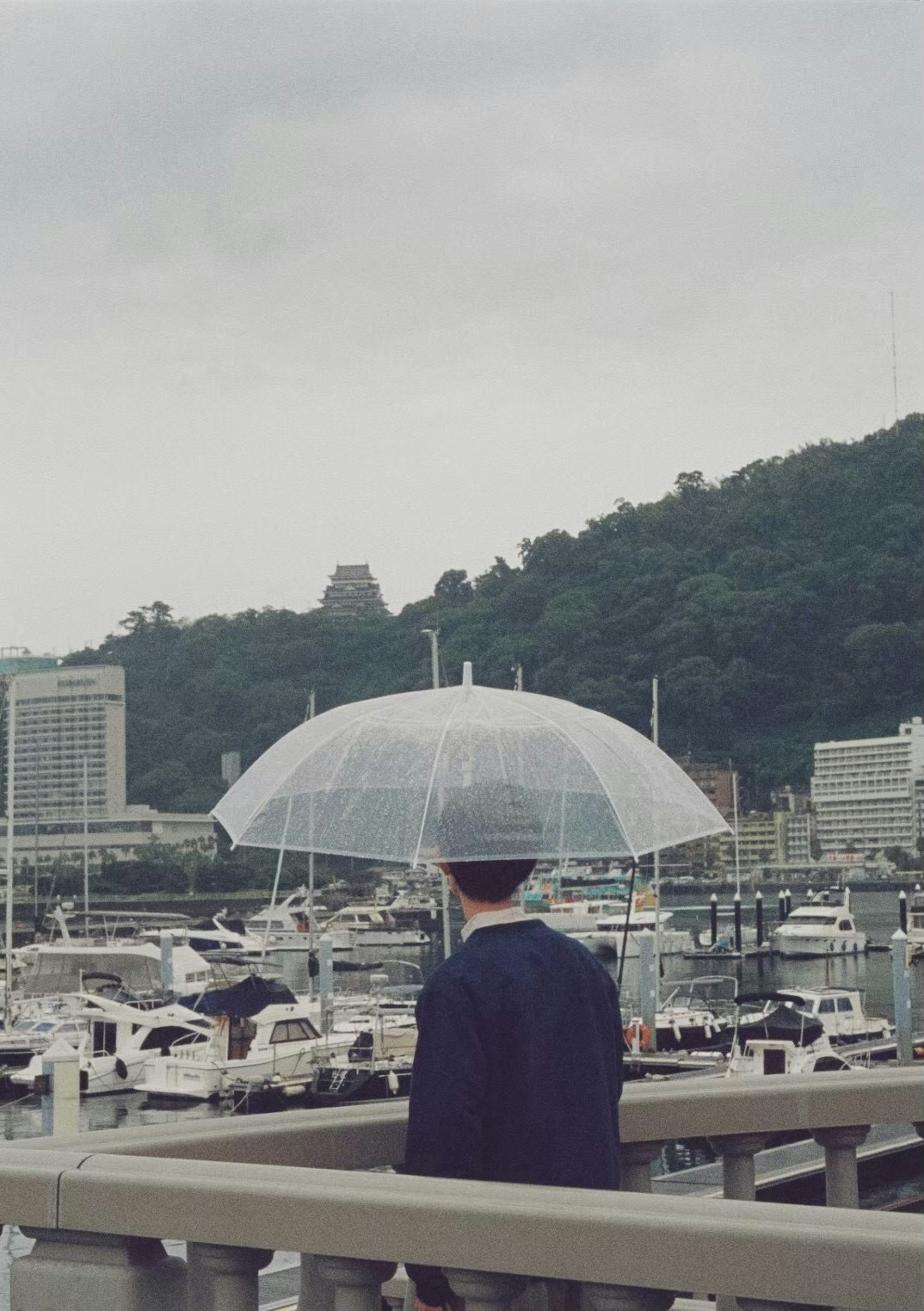 Person holding a transparent umbrella overlooking a marina