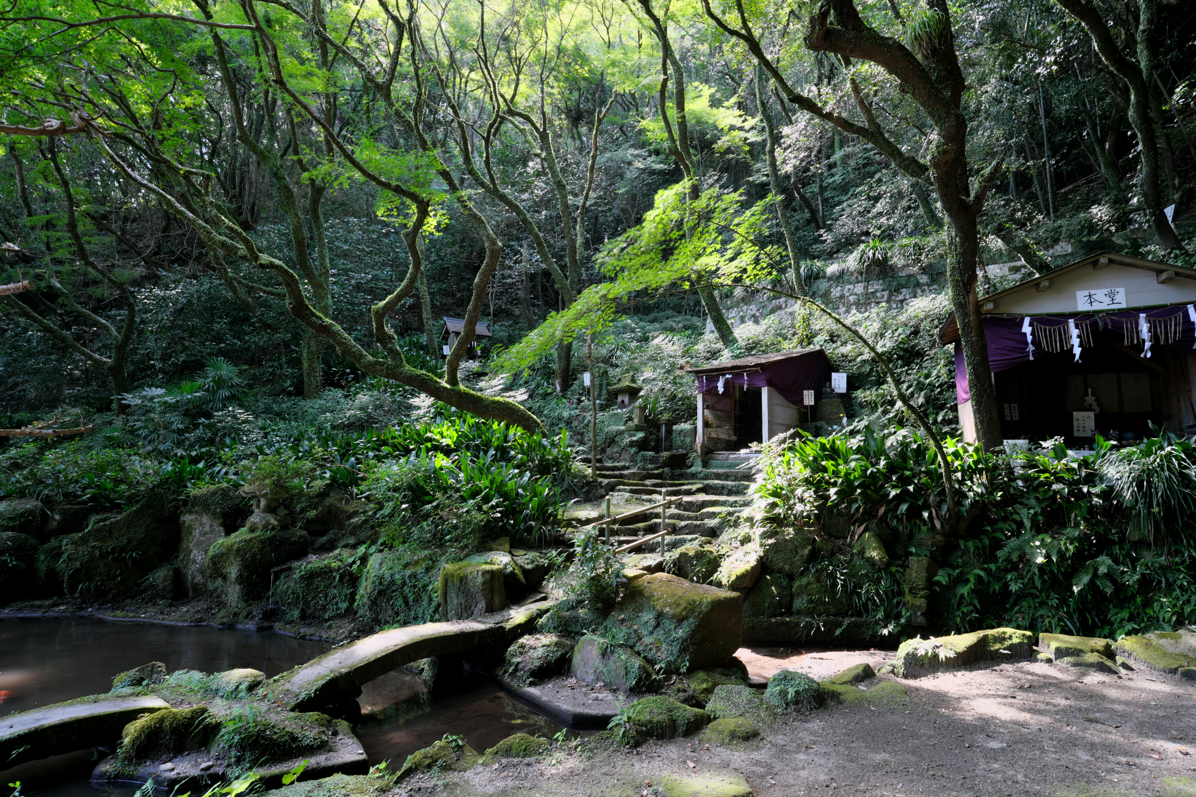 Paysage naturel serein avec un chemin et de petits bâtiments entourés de verdure