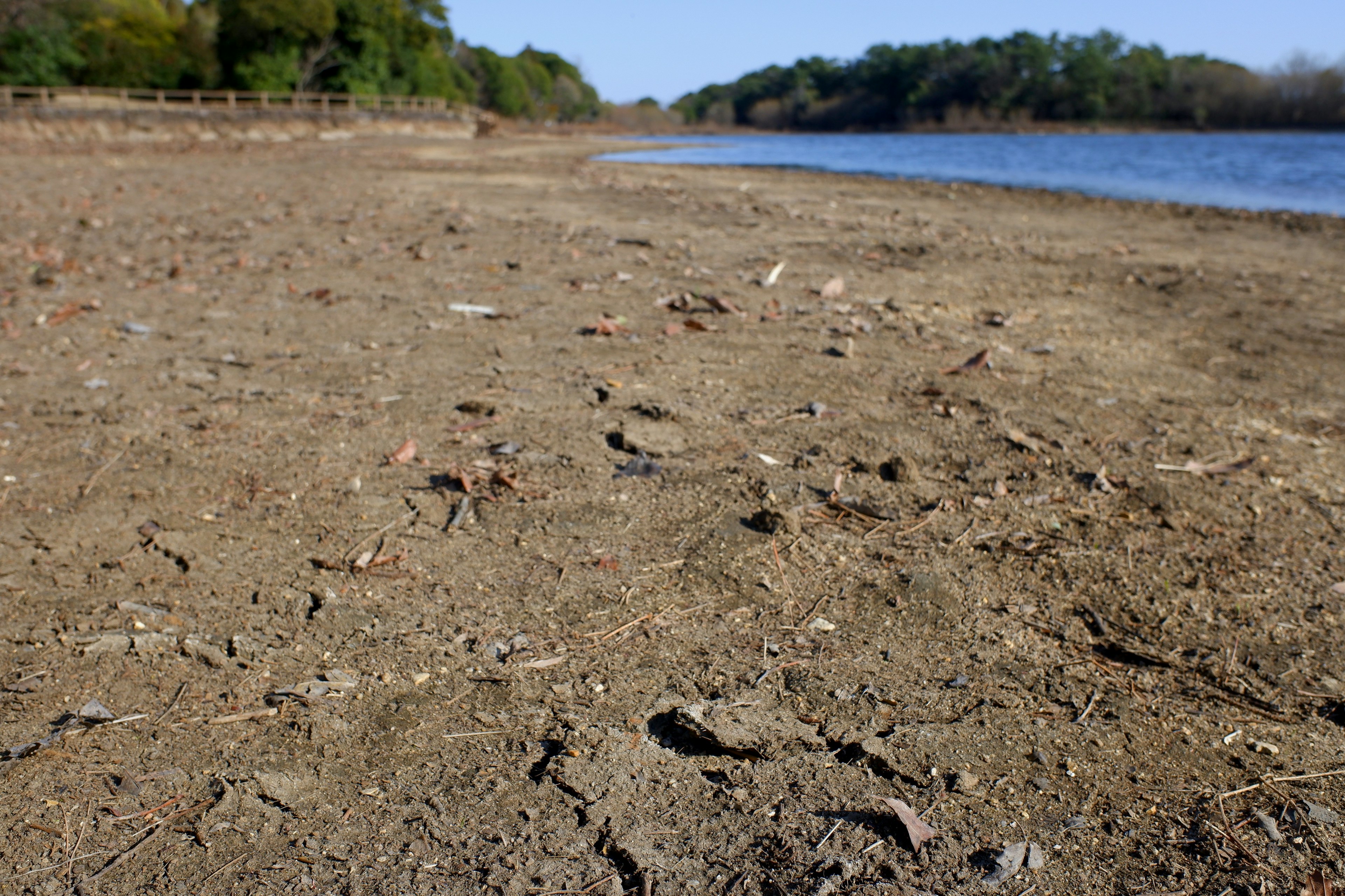 Paisaje de ribera seca con suelo agrietado y bajo nivel de agua