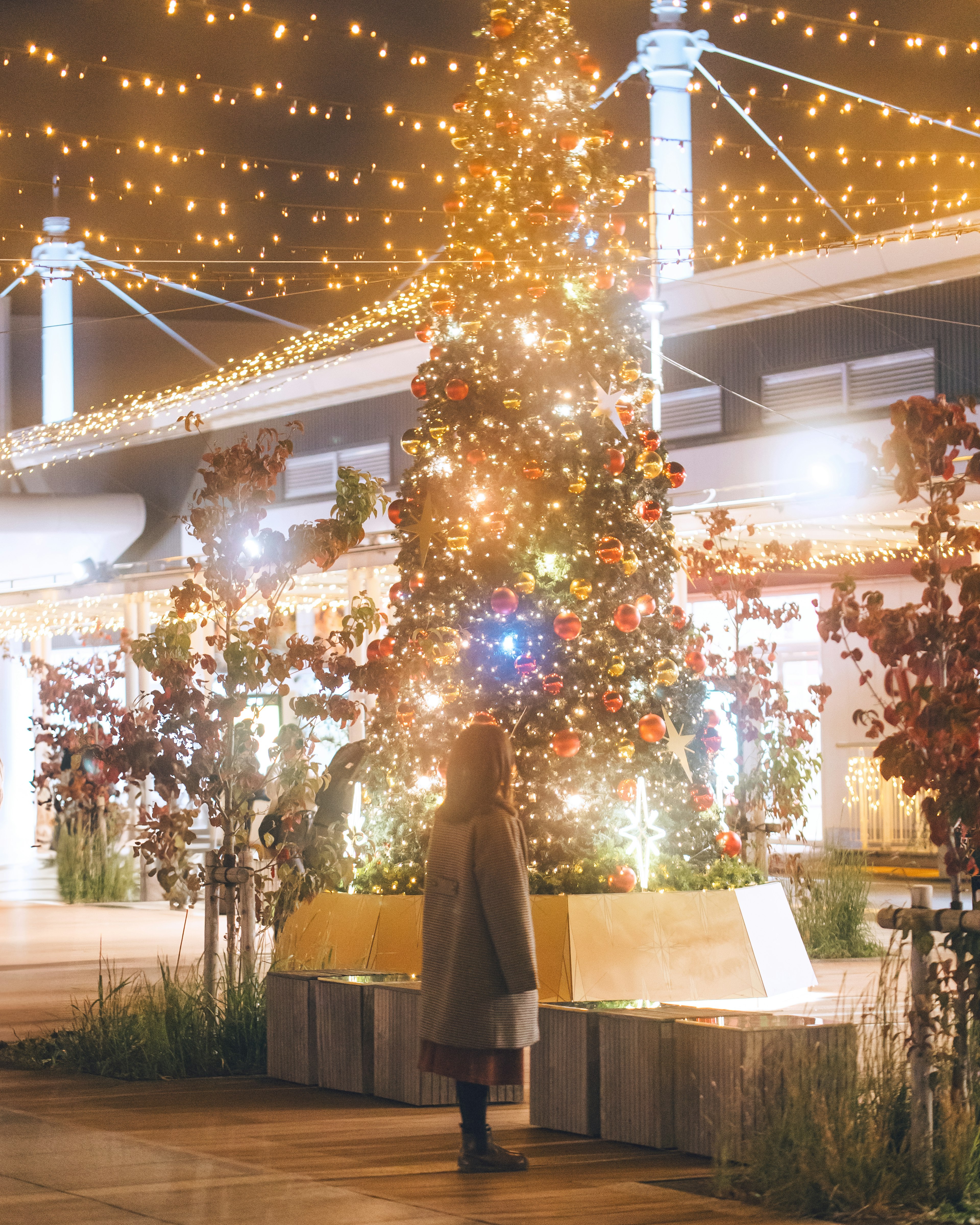 Silhouette of a woman standing in front of a Christmas tree adorned with beautiful lights