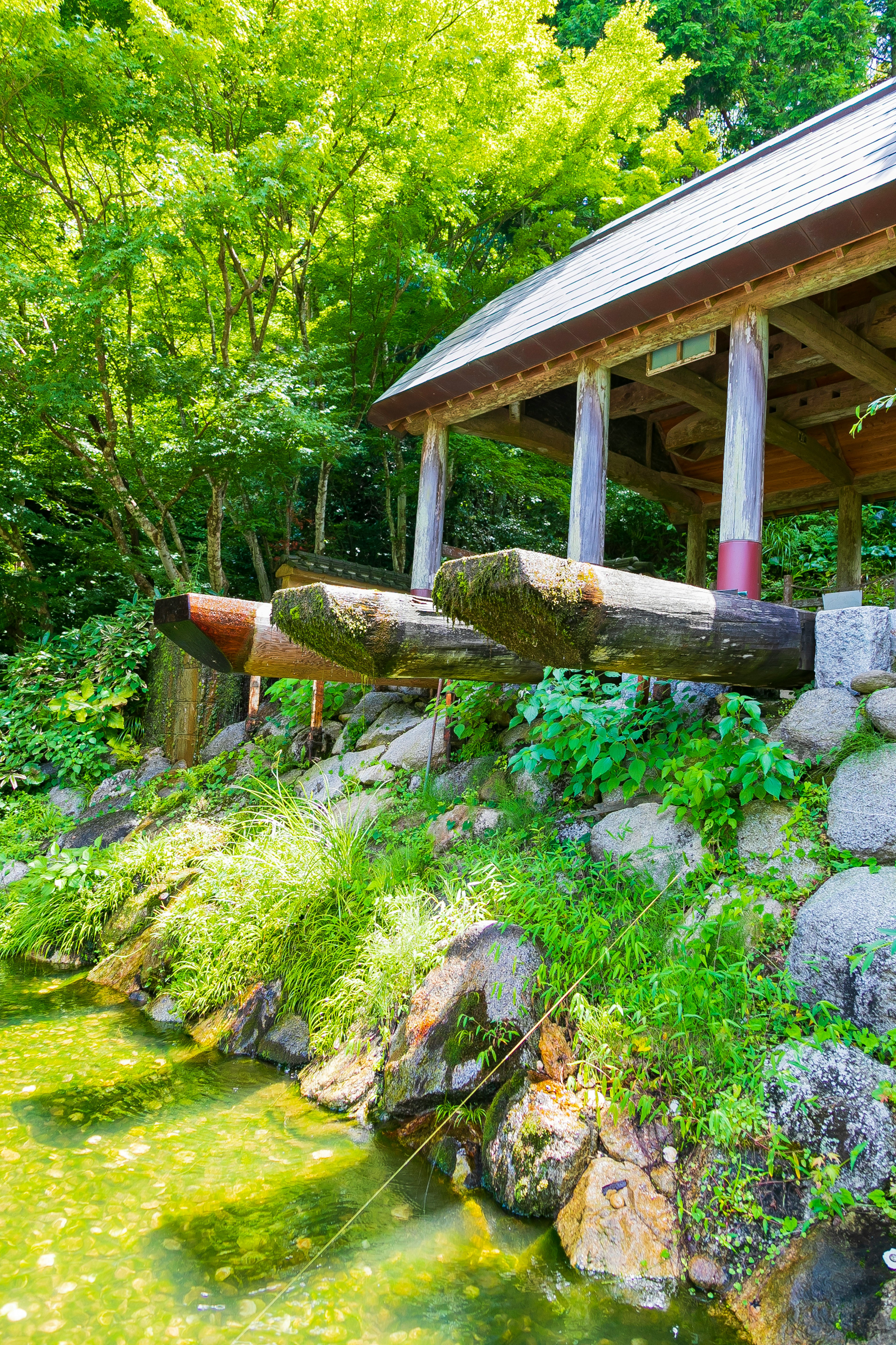 A scenic view of a small hut surrounded by greenery and water