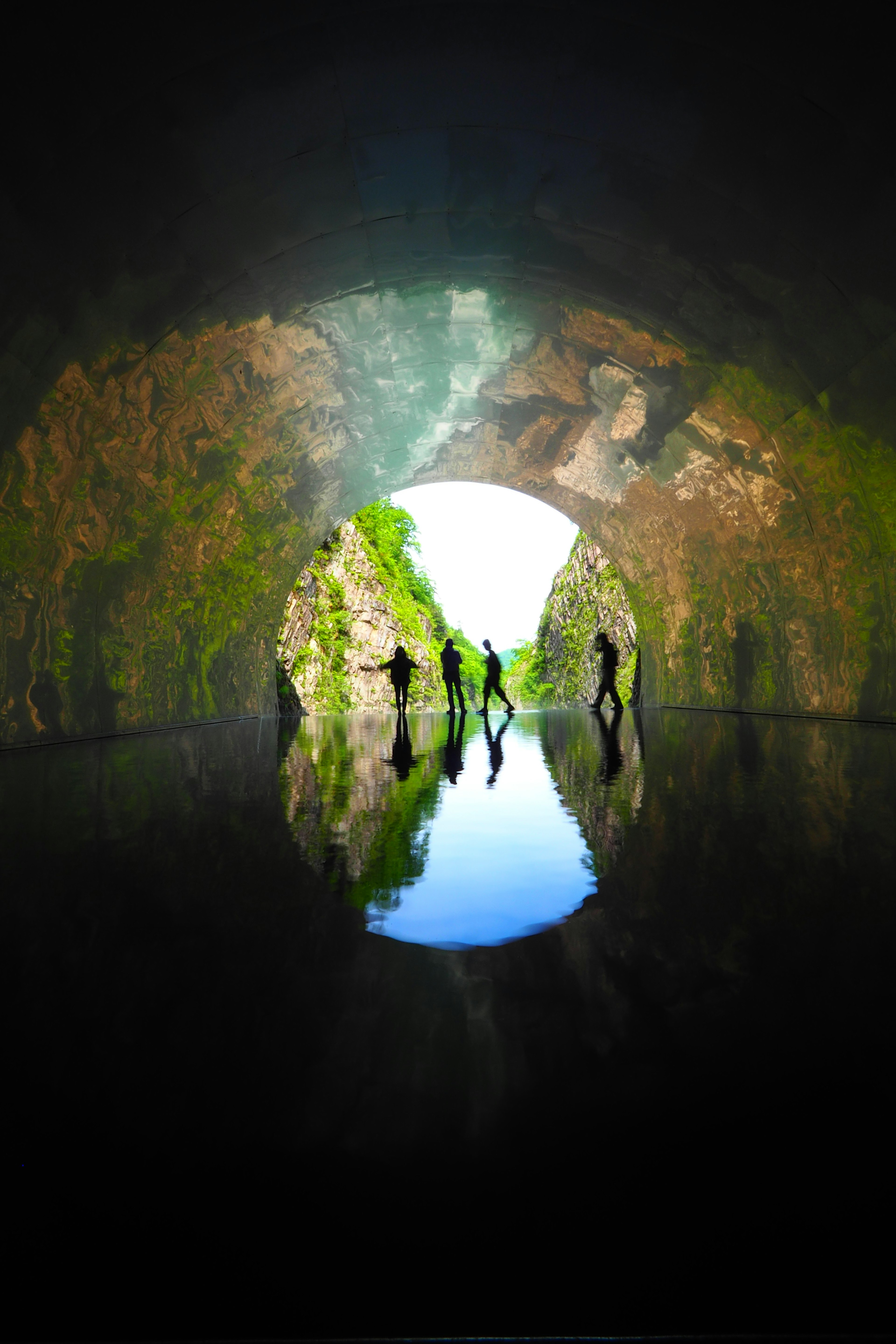 Silhouettes of people reflected in water inside a moss-covered cave