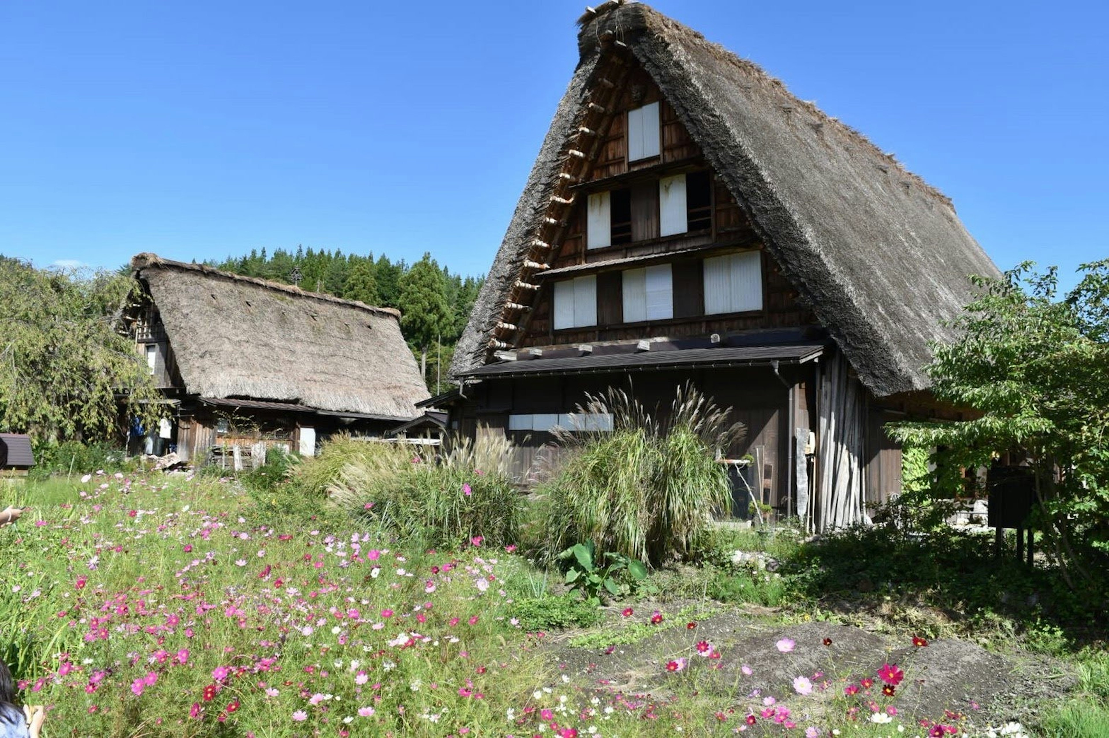 Maisons à toit de chaume traditionnelles entourées d'un beau jardin