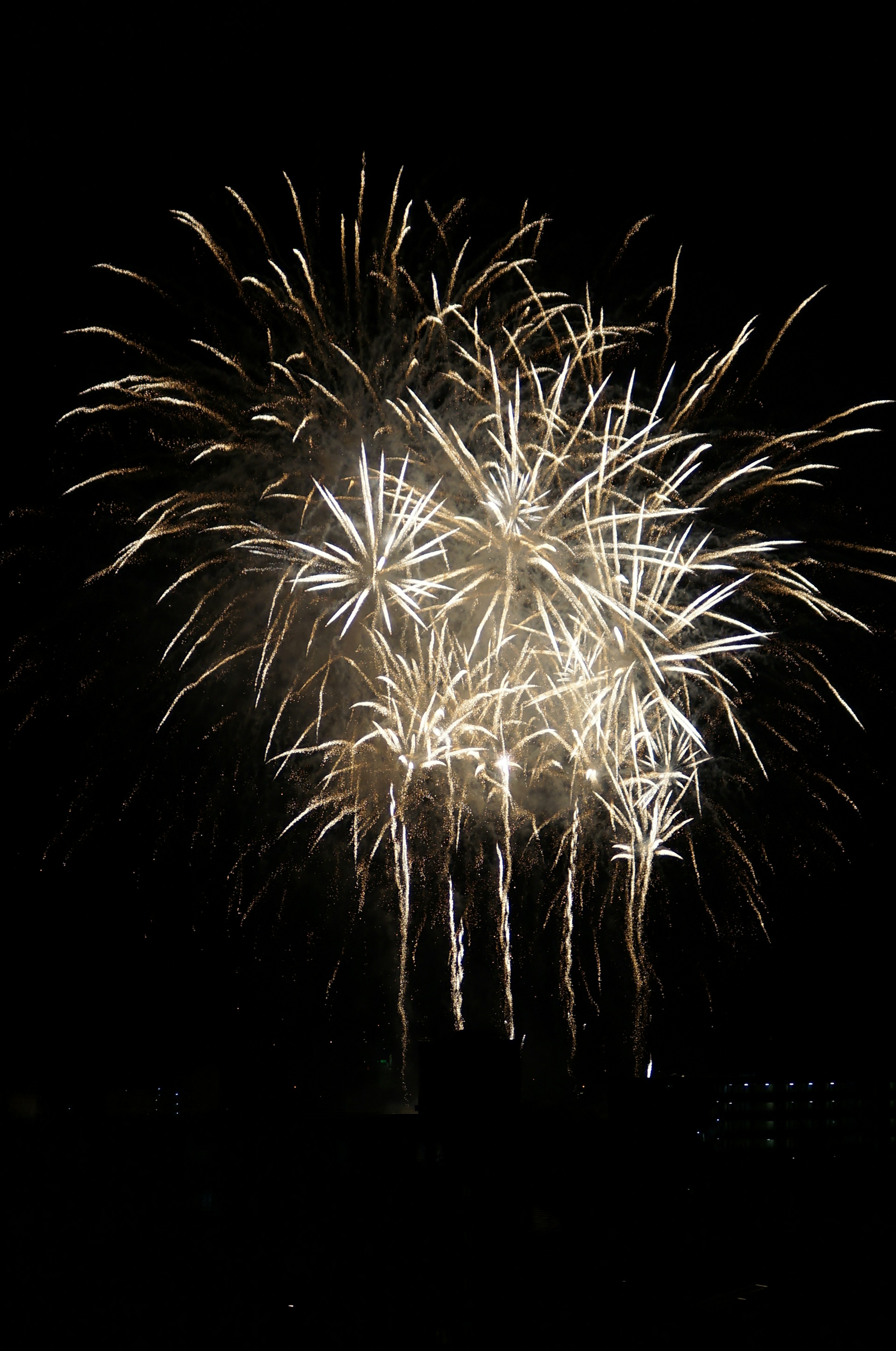 Un deslumbrante espectáculo de fuegos artificiales blancos en el cielo nocturno