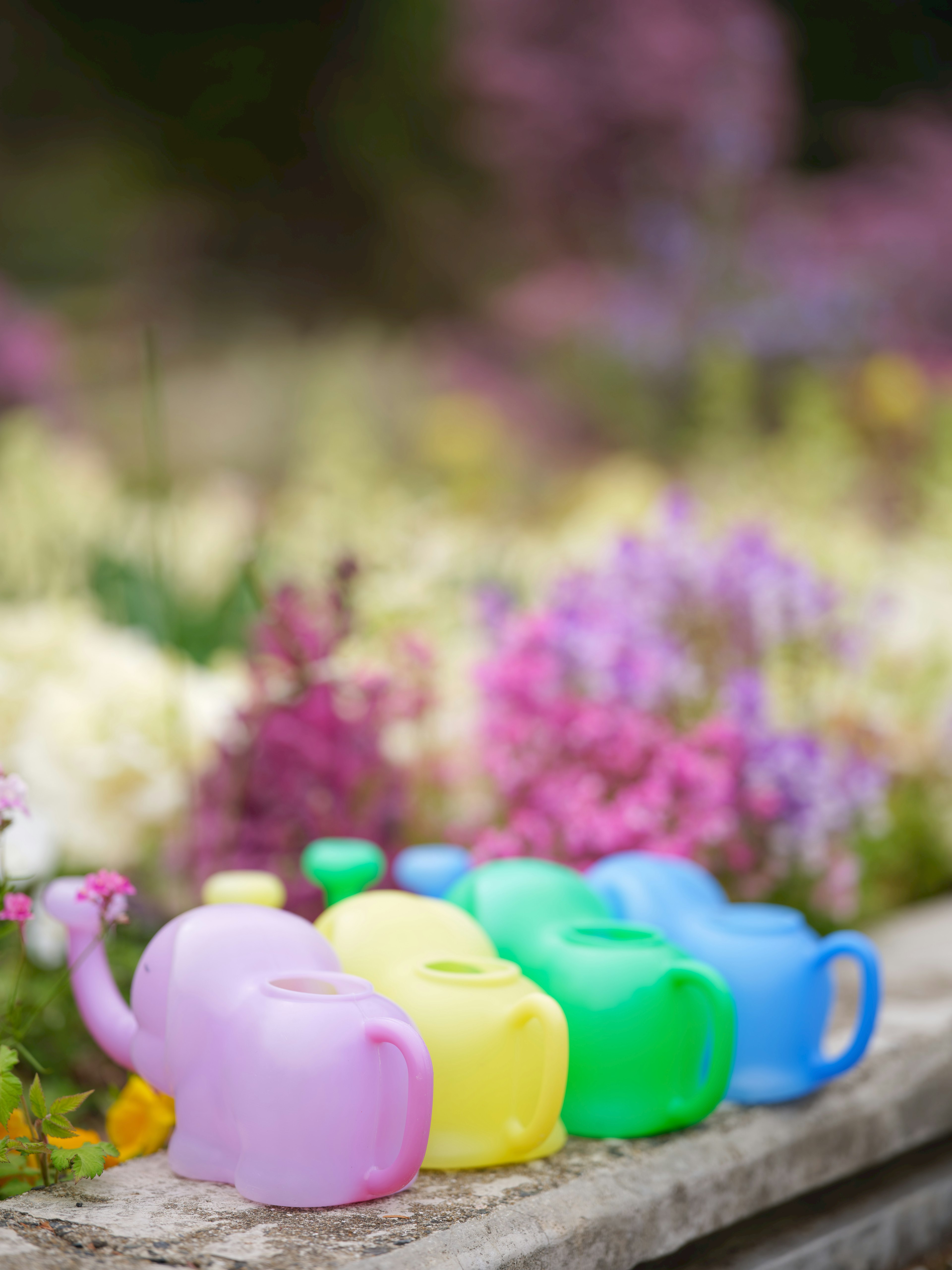 Colorful watering cans lined up with flowers in the background