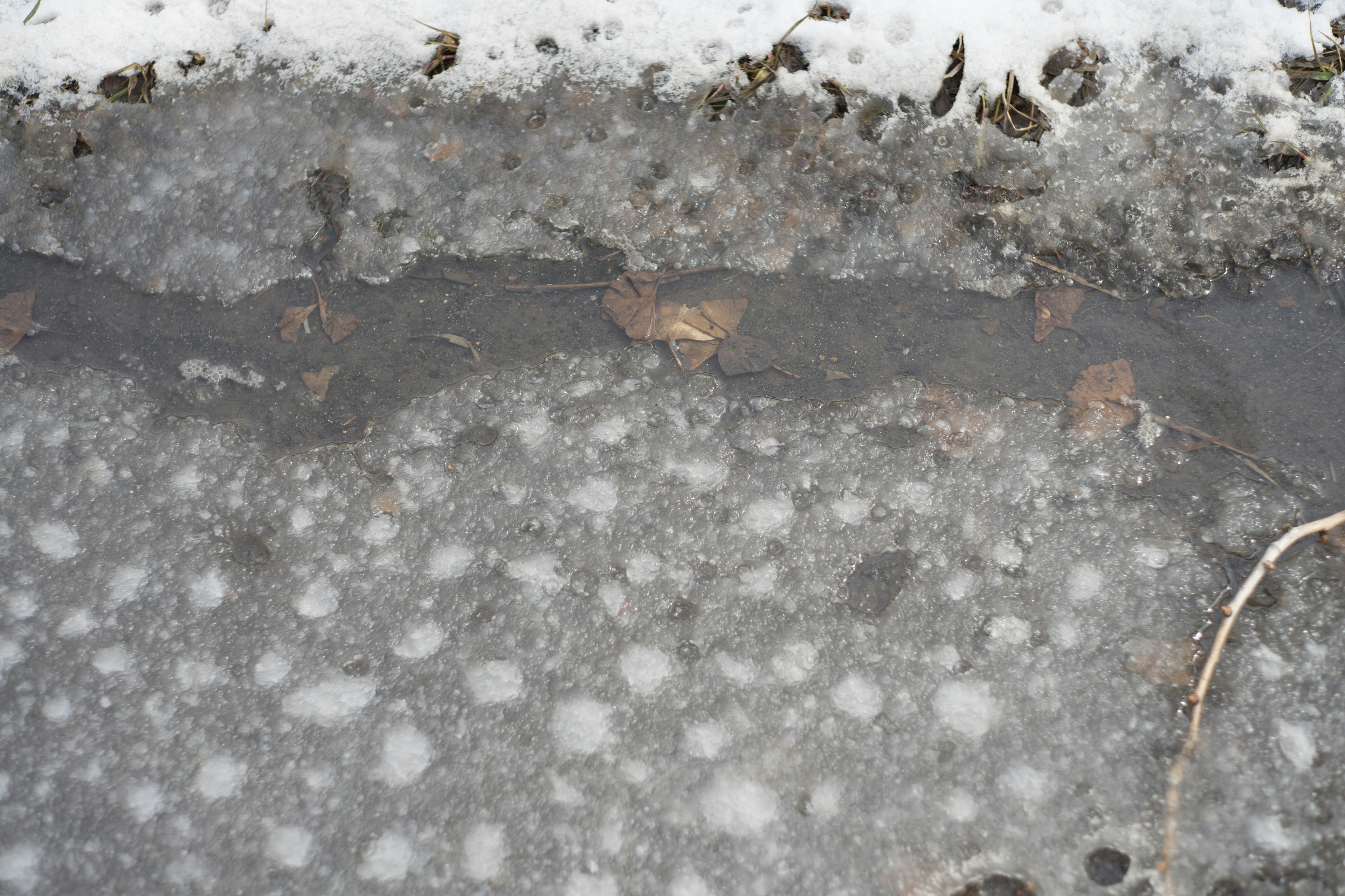 Eine Eisschicht über einem Bach mit sichtbaren Blättern und Schnee