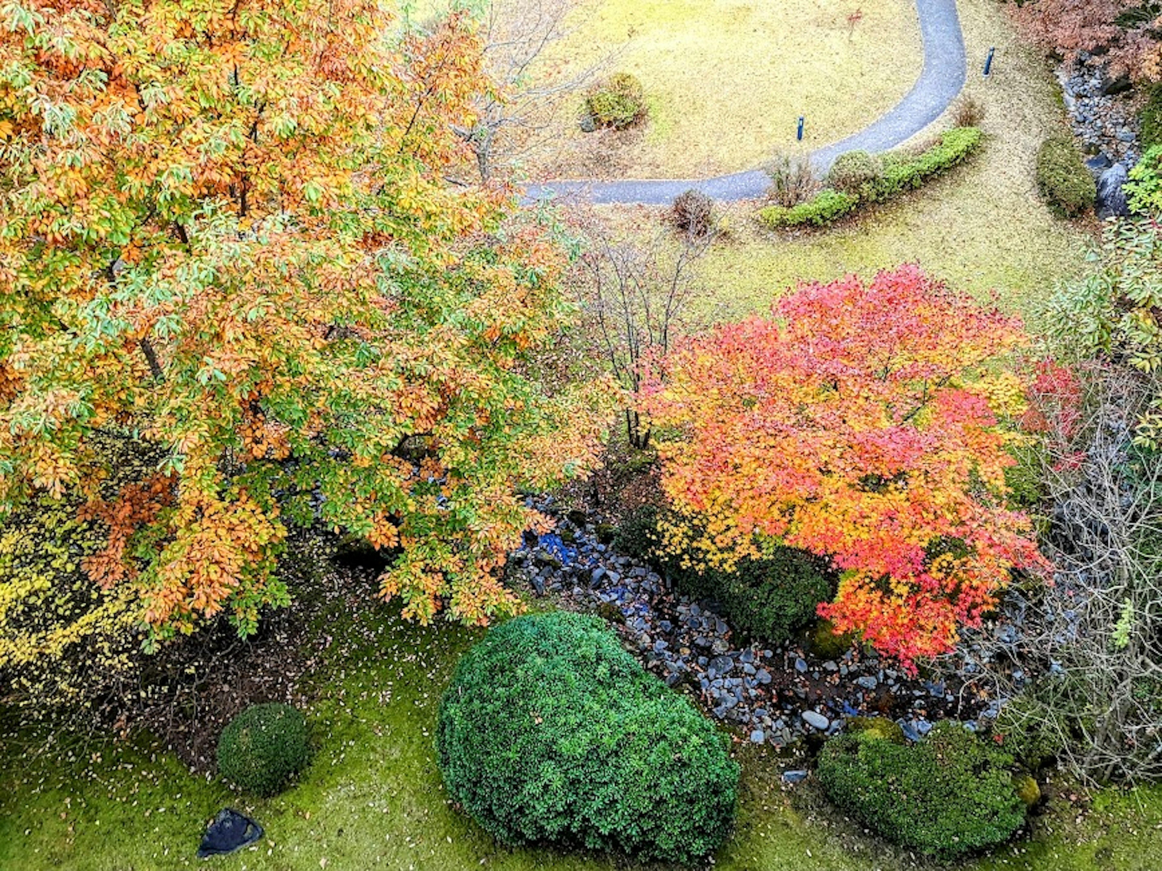 มุมมองจากอากาศของสวนในฤดูใบไม้ร่วงที่มีใบไม้สดใสและพุ่มไม้สีเขียว