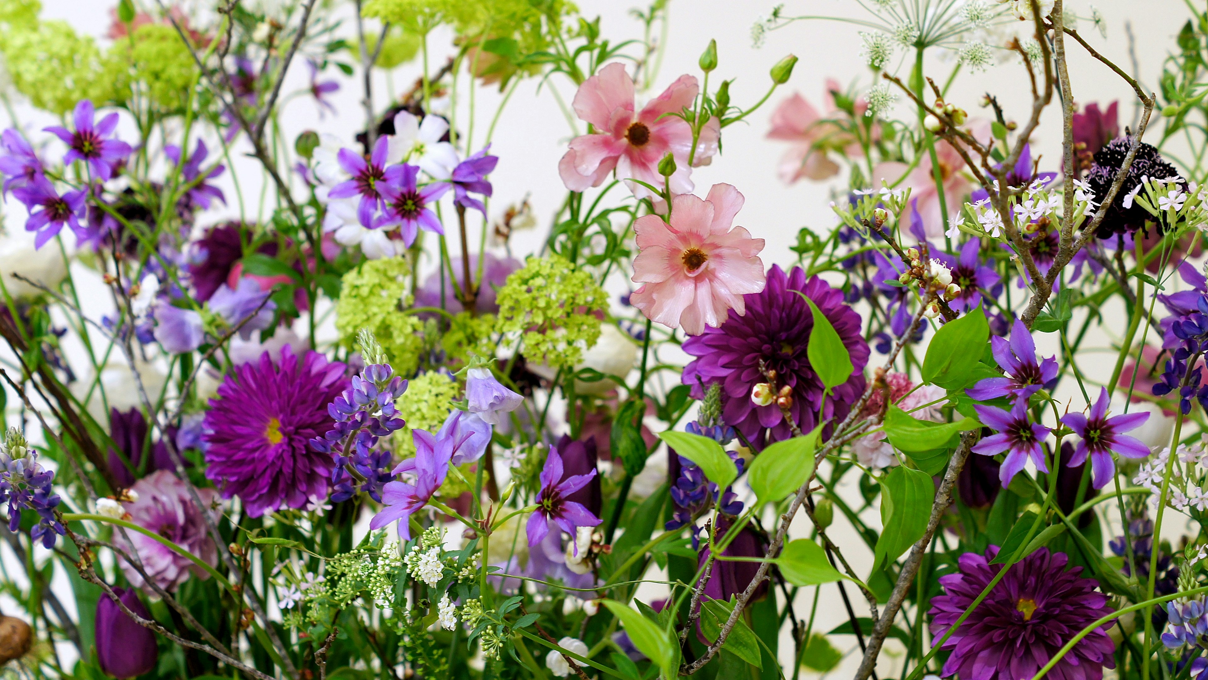 A beautiful bouquet of colorful flowers in various shades