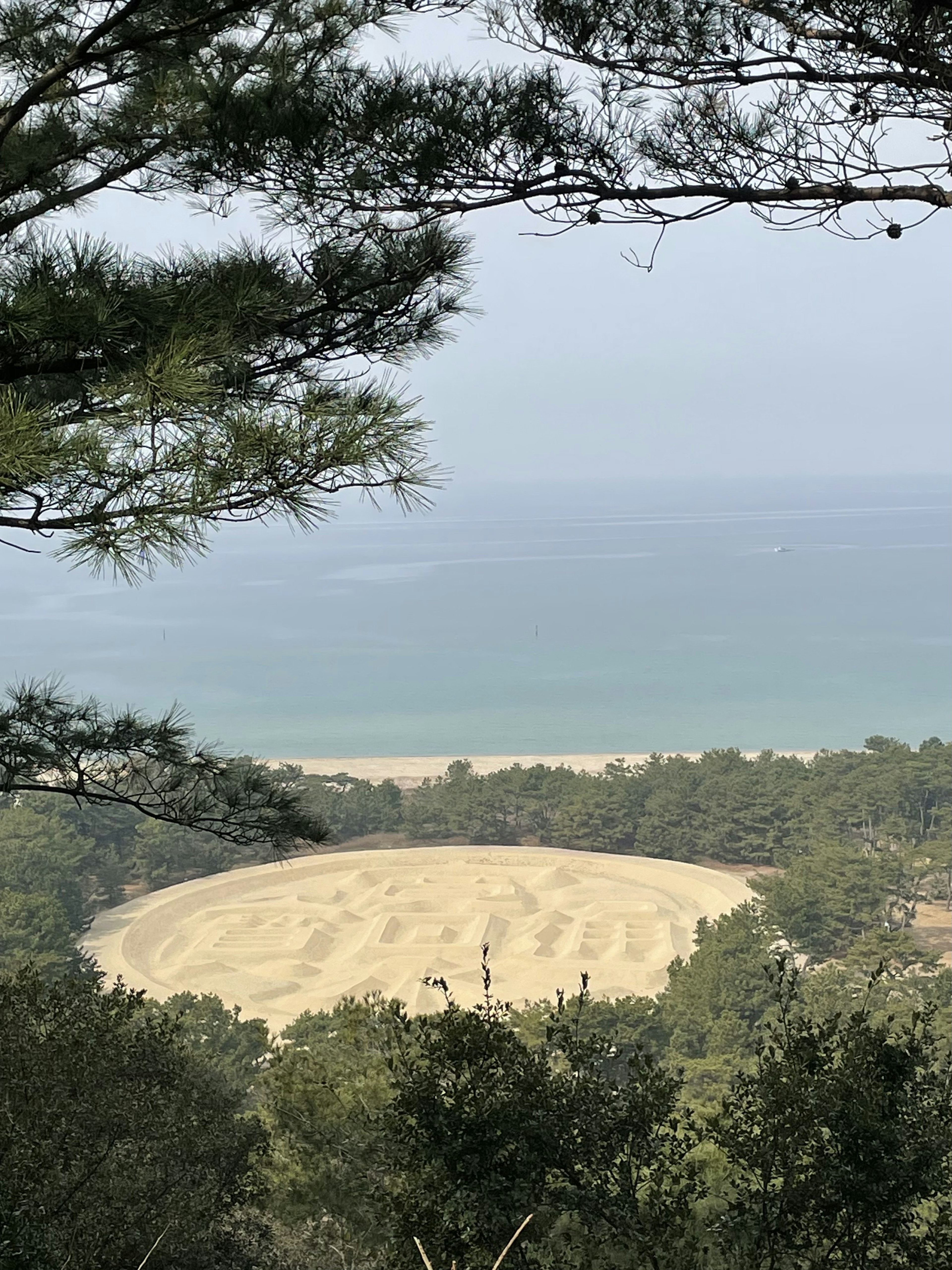 海の見える円形の農地が木々に囲まれている