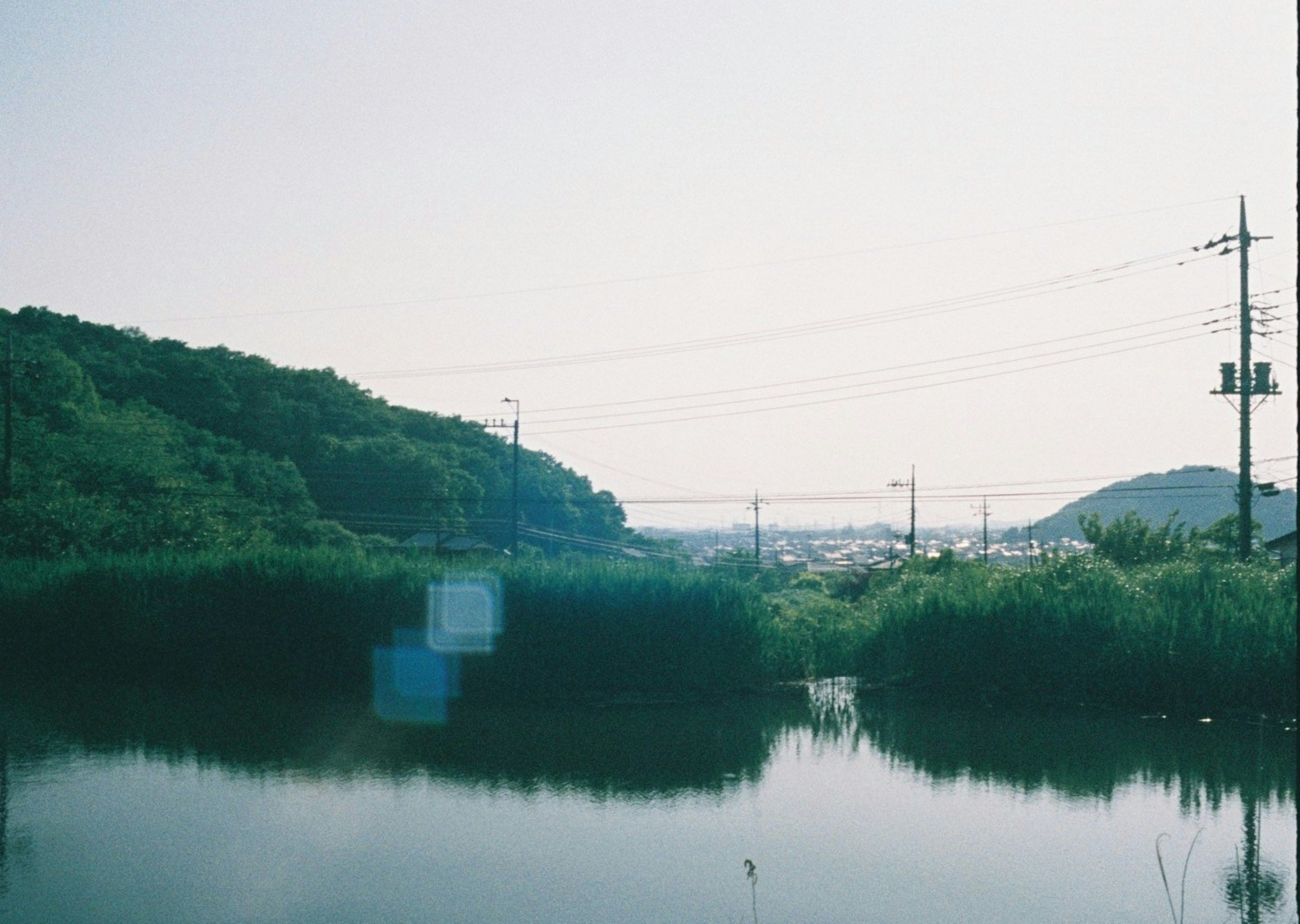 静かな水面に映る緑の風景と電柱が見える