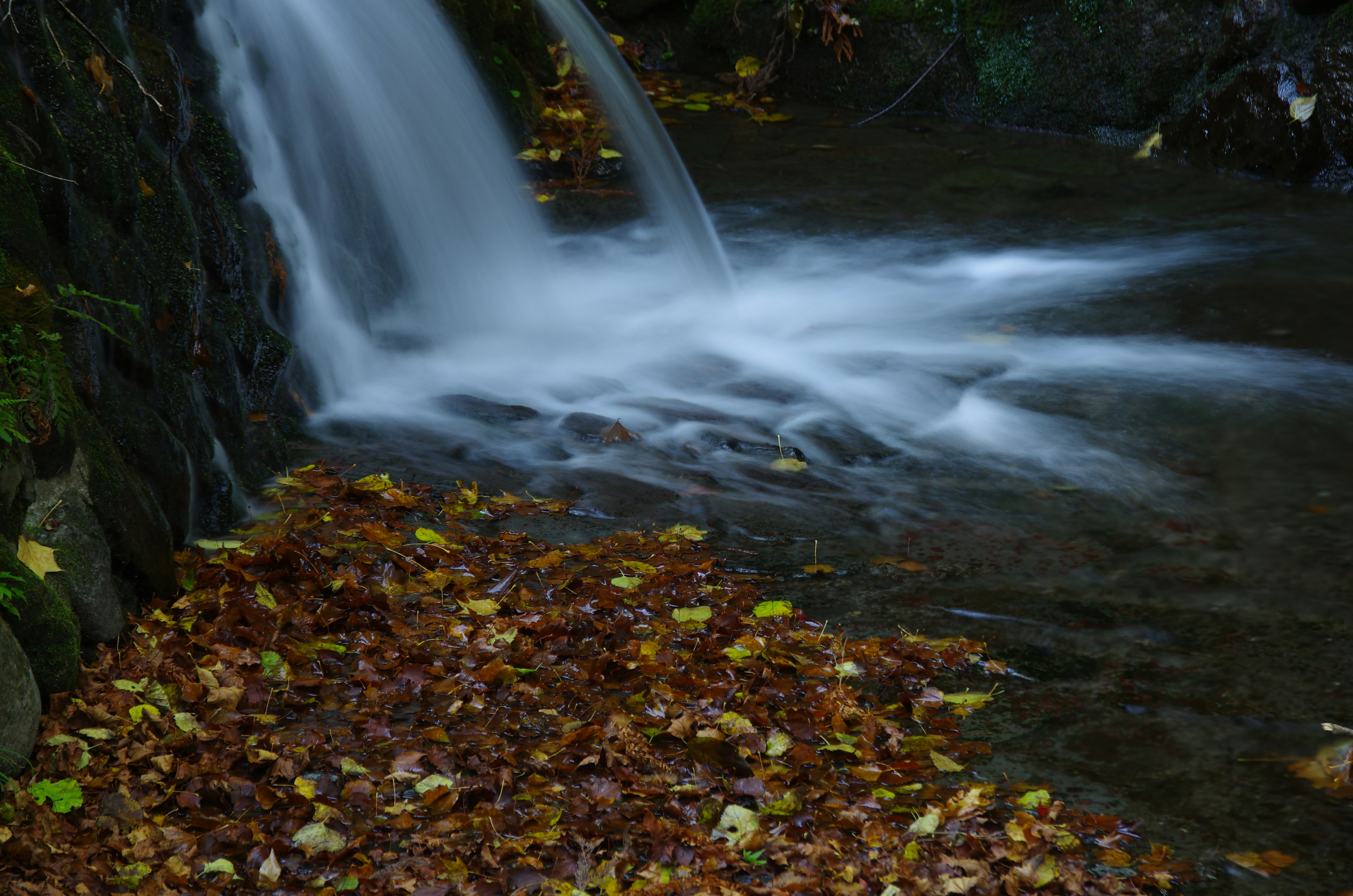 Un ruscello tranquillo con una cascata e foglie autunnali