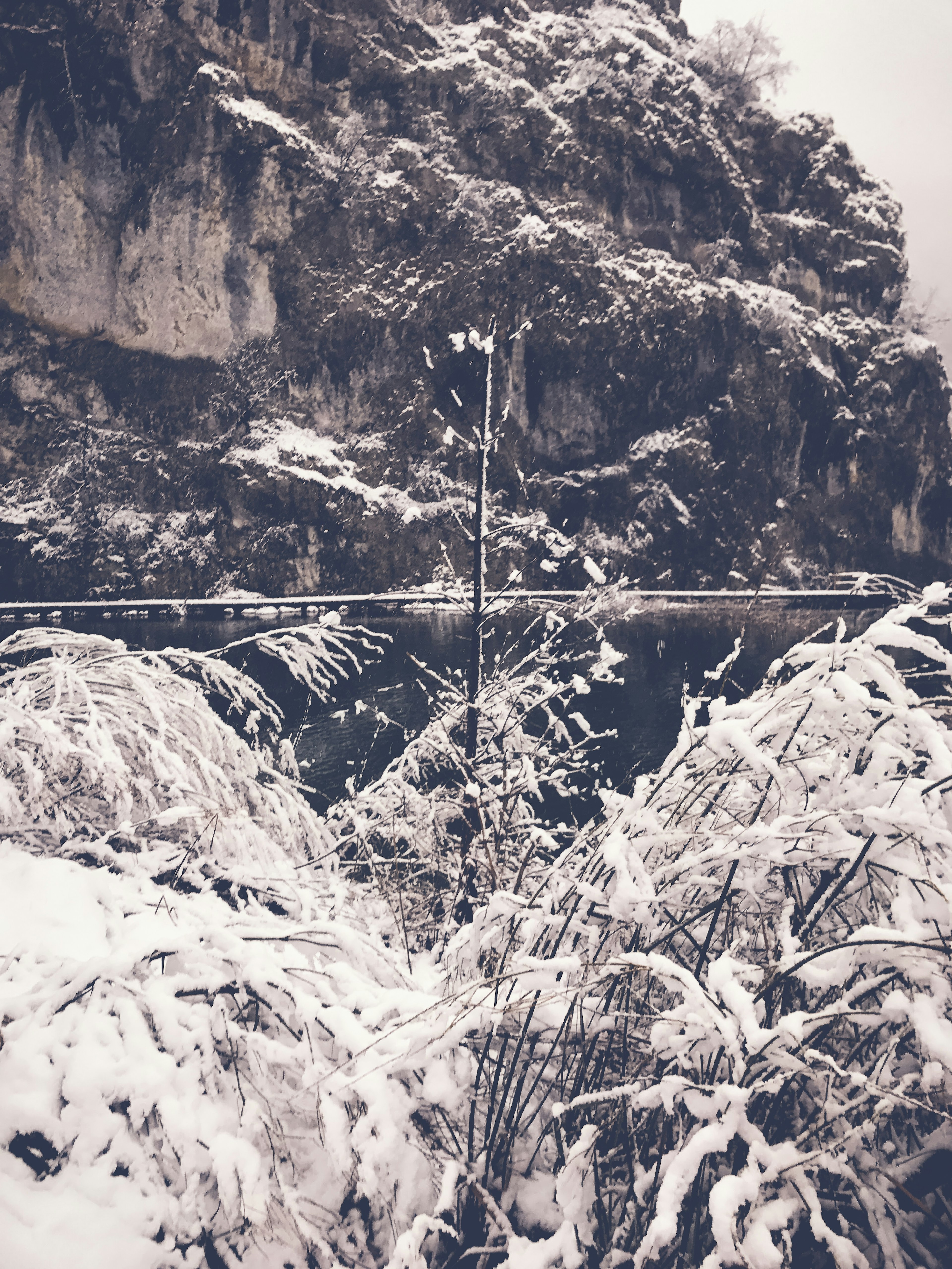 Snow-covered grass and rocky landscape