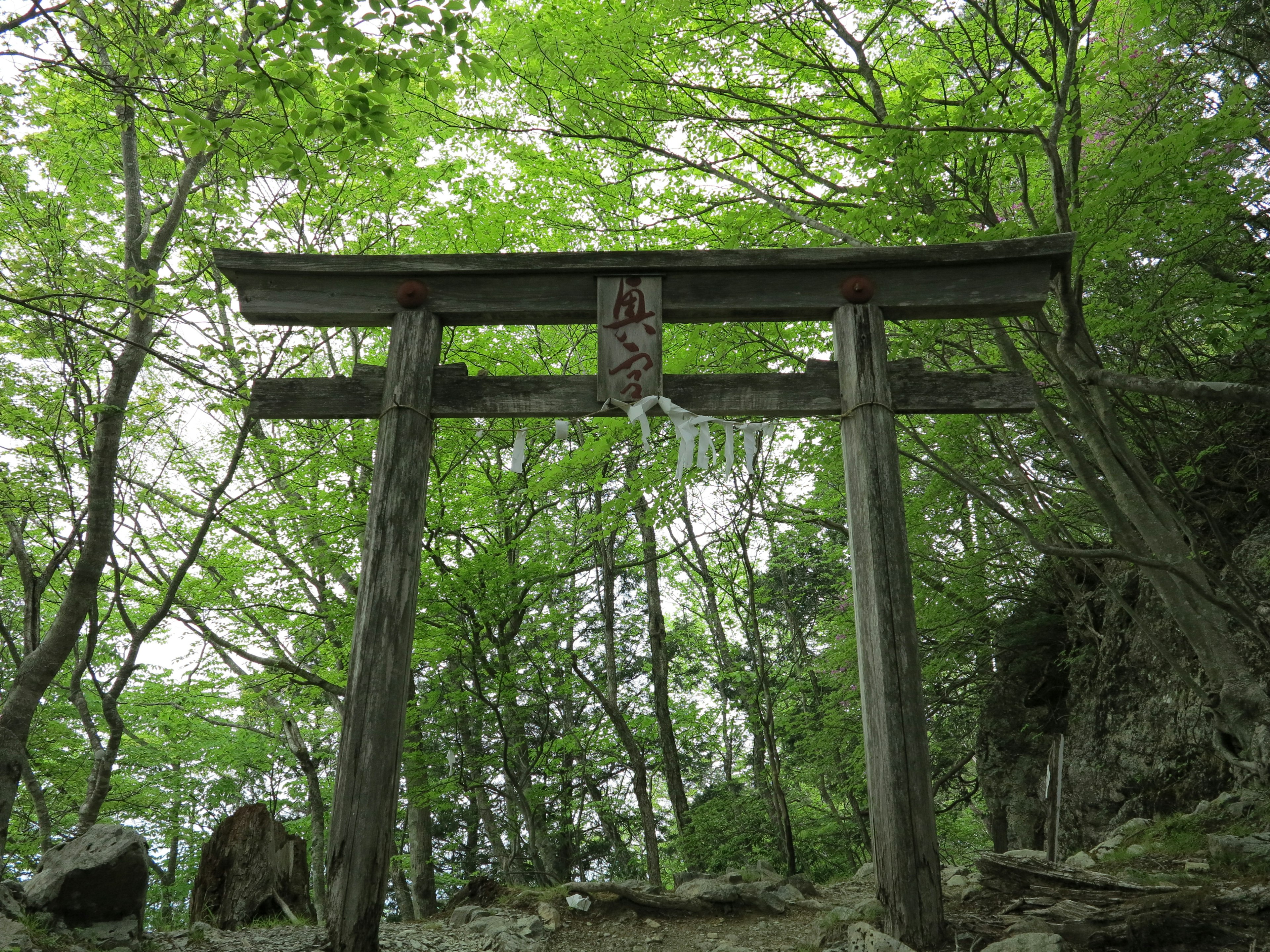 Bild eines Torii-Tors, umgeben von grünen Bäumen