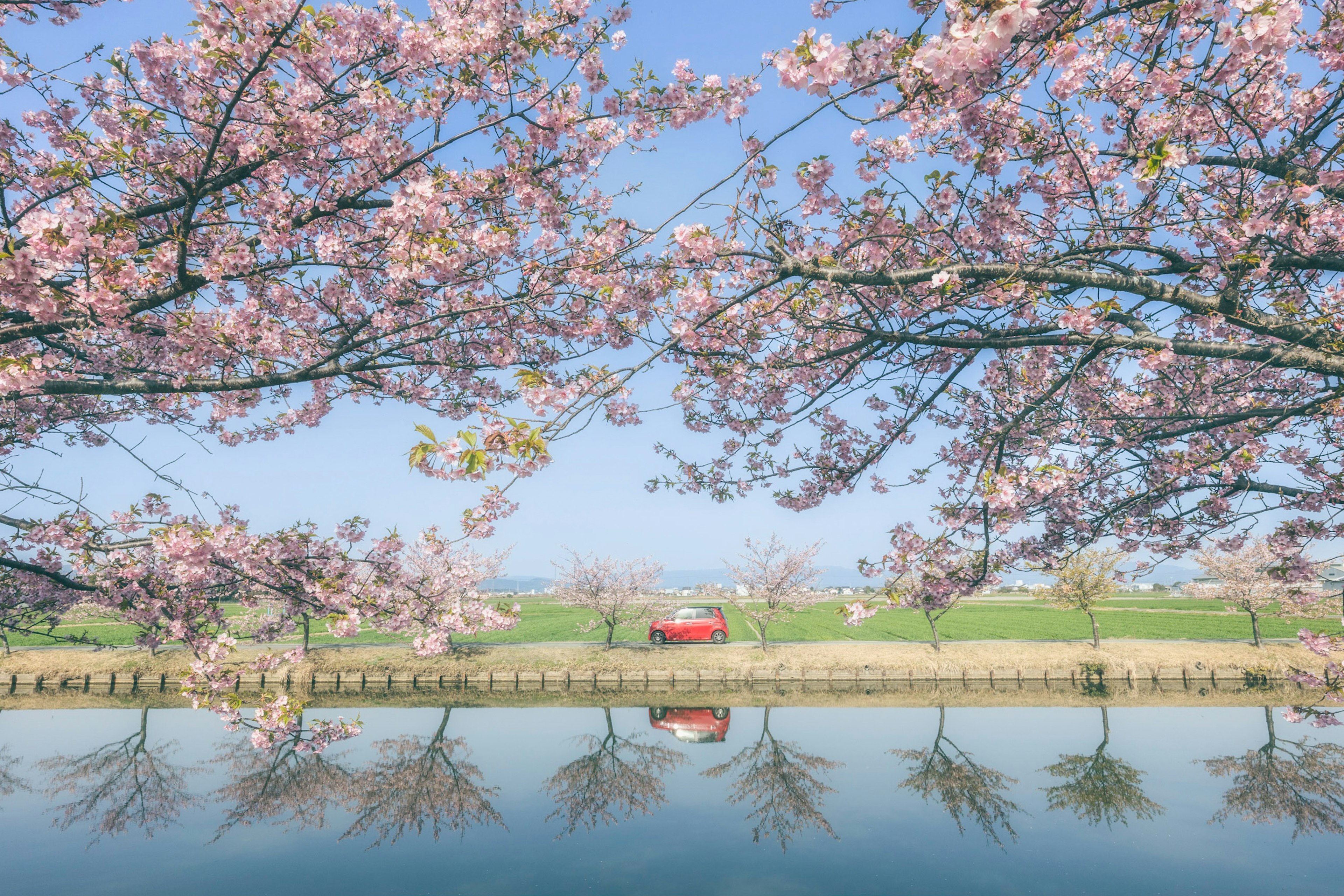 Schöne Landschaft mit Kirschblüten am Fluss und klarem blauen Himmel