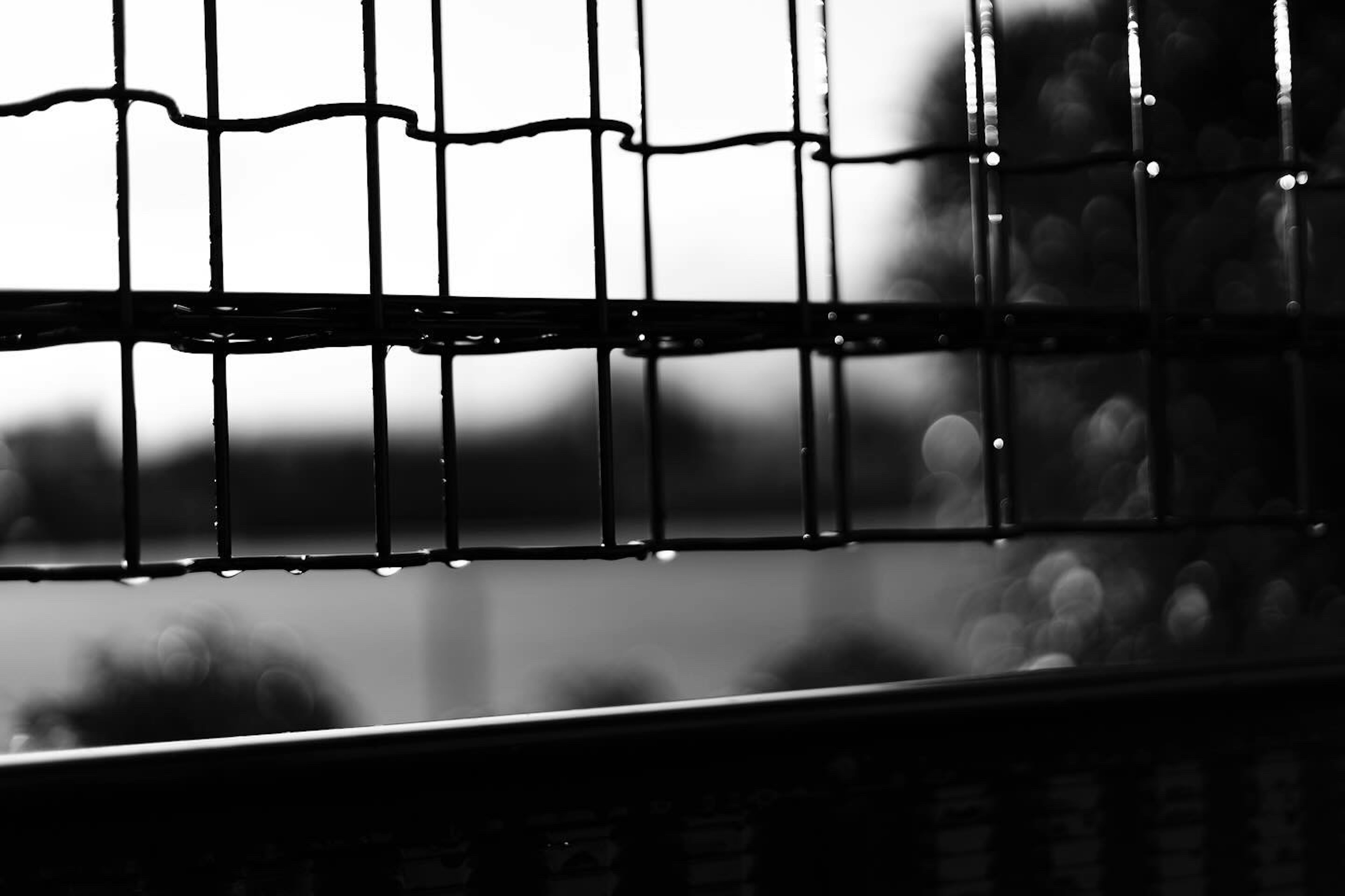 High contrast black and white image featuring a wet fence with a blurred background