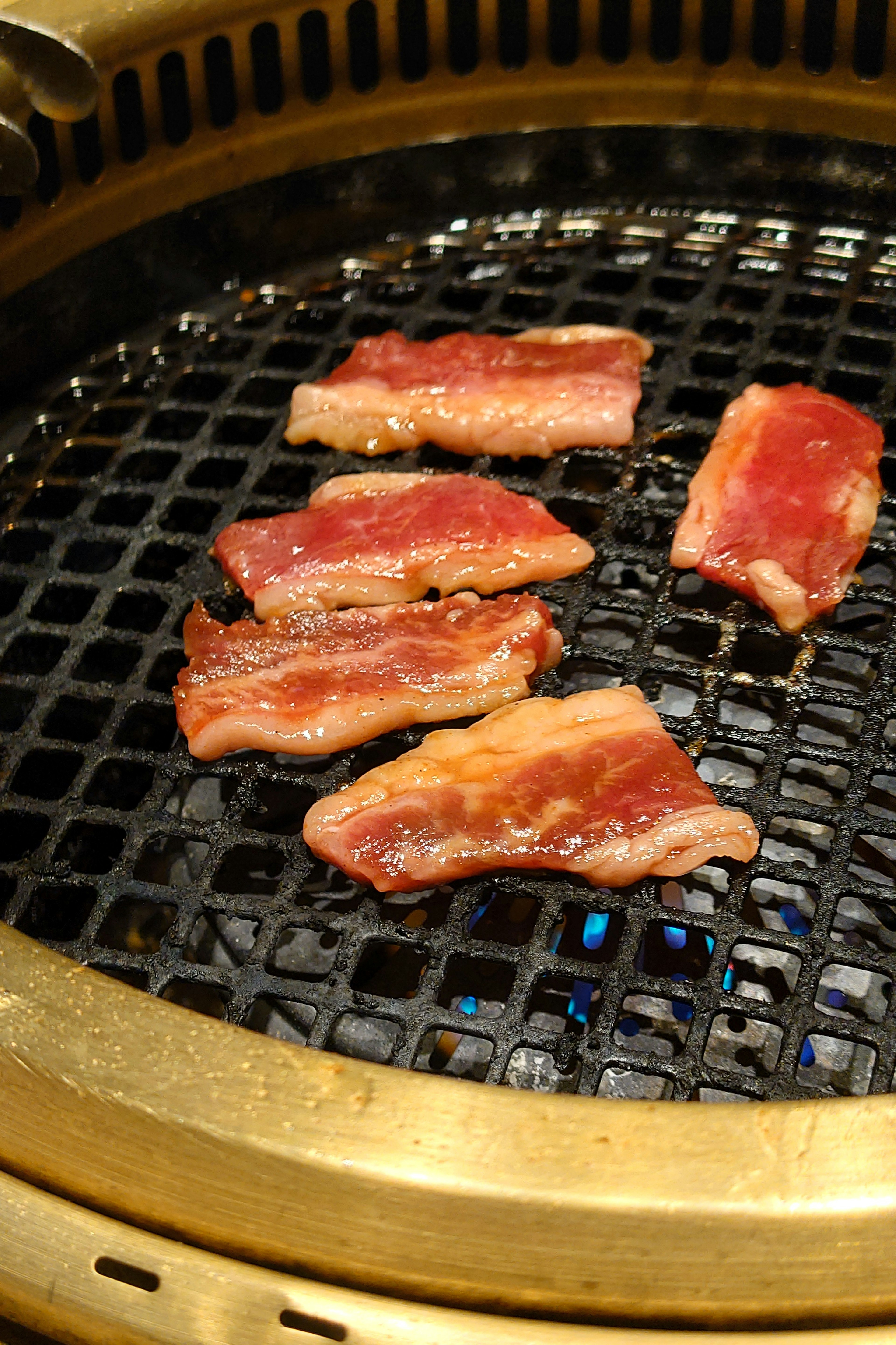 Slices of meat grilling on a mesh grill