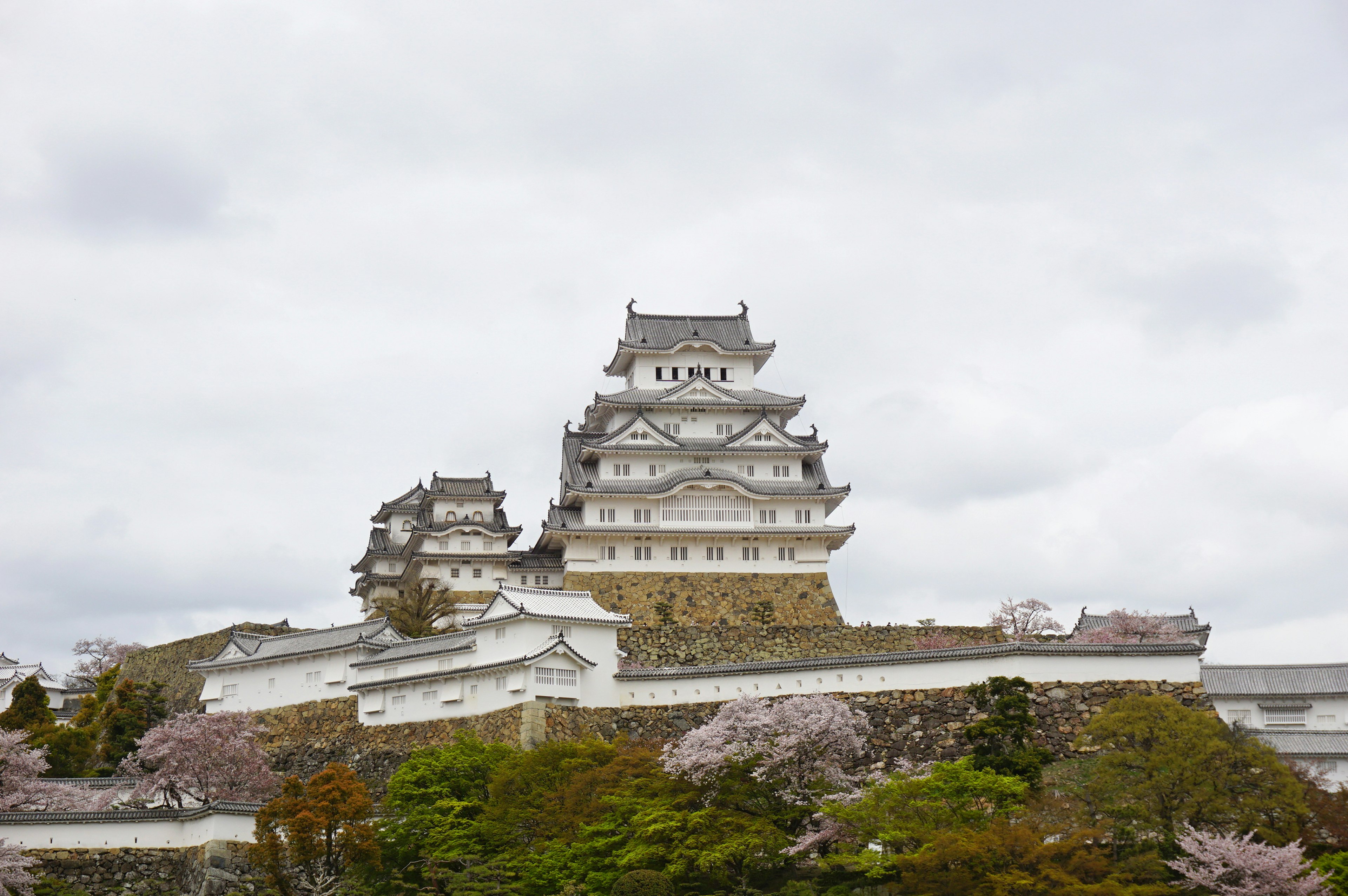 Himeji Schloss umgeben von blühenden Kirschbäumen