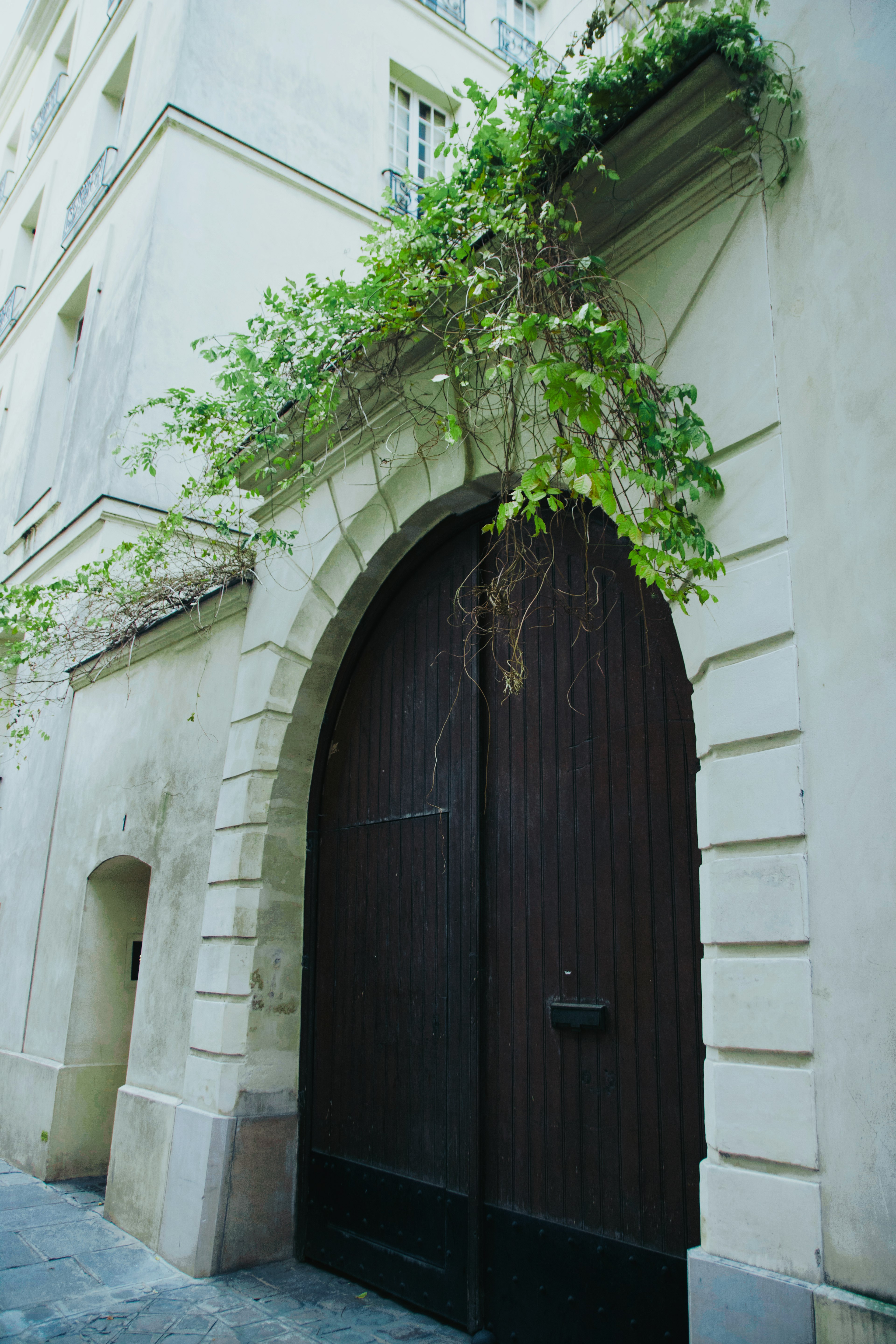 Porte en bois en arc d'un vieux bâtiment en pierre avec de la verdure qui tombe dessus