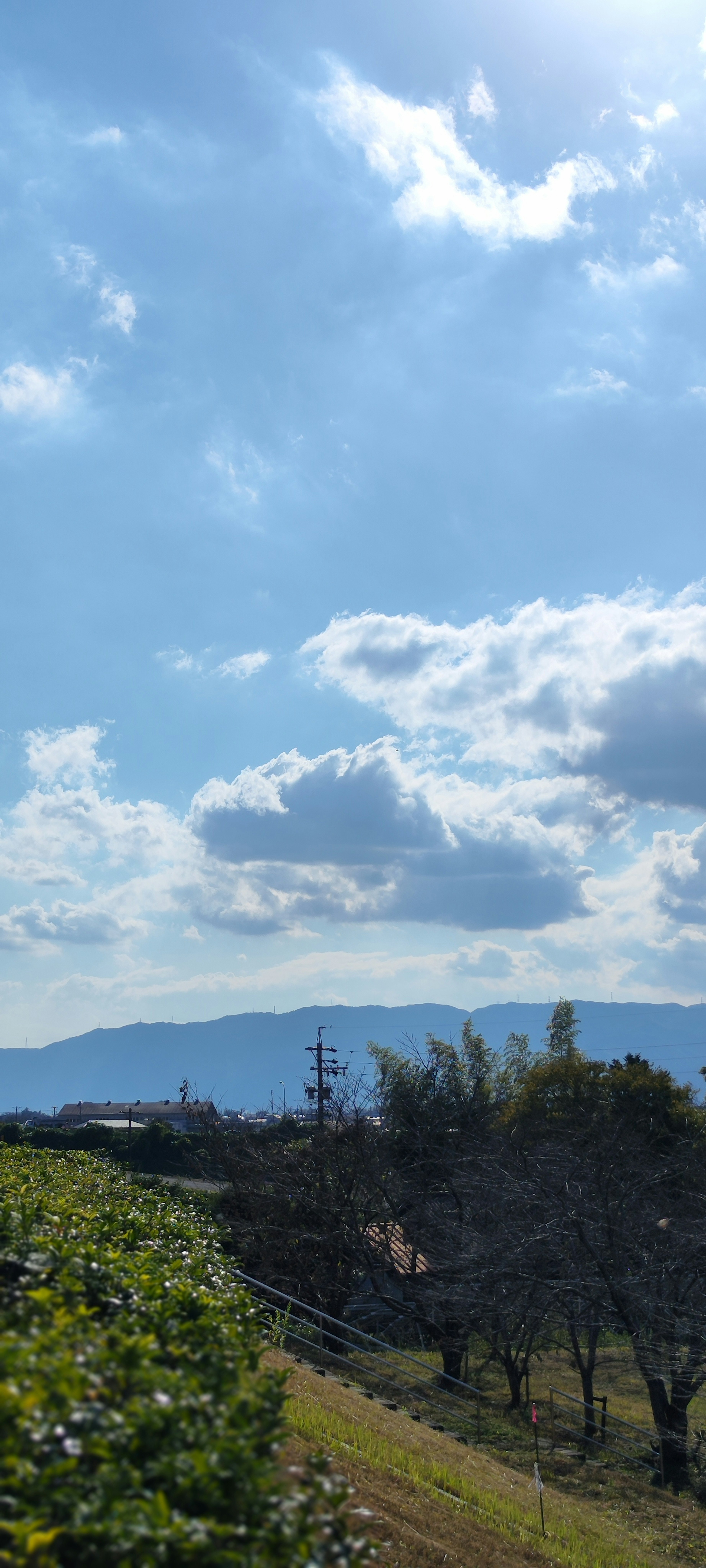 A scenic view with blue sky and white clouds green trees on a hillside