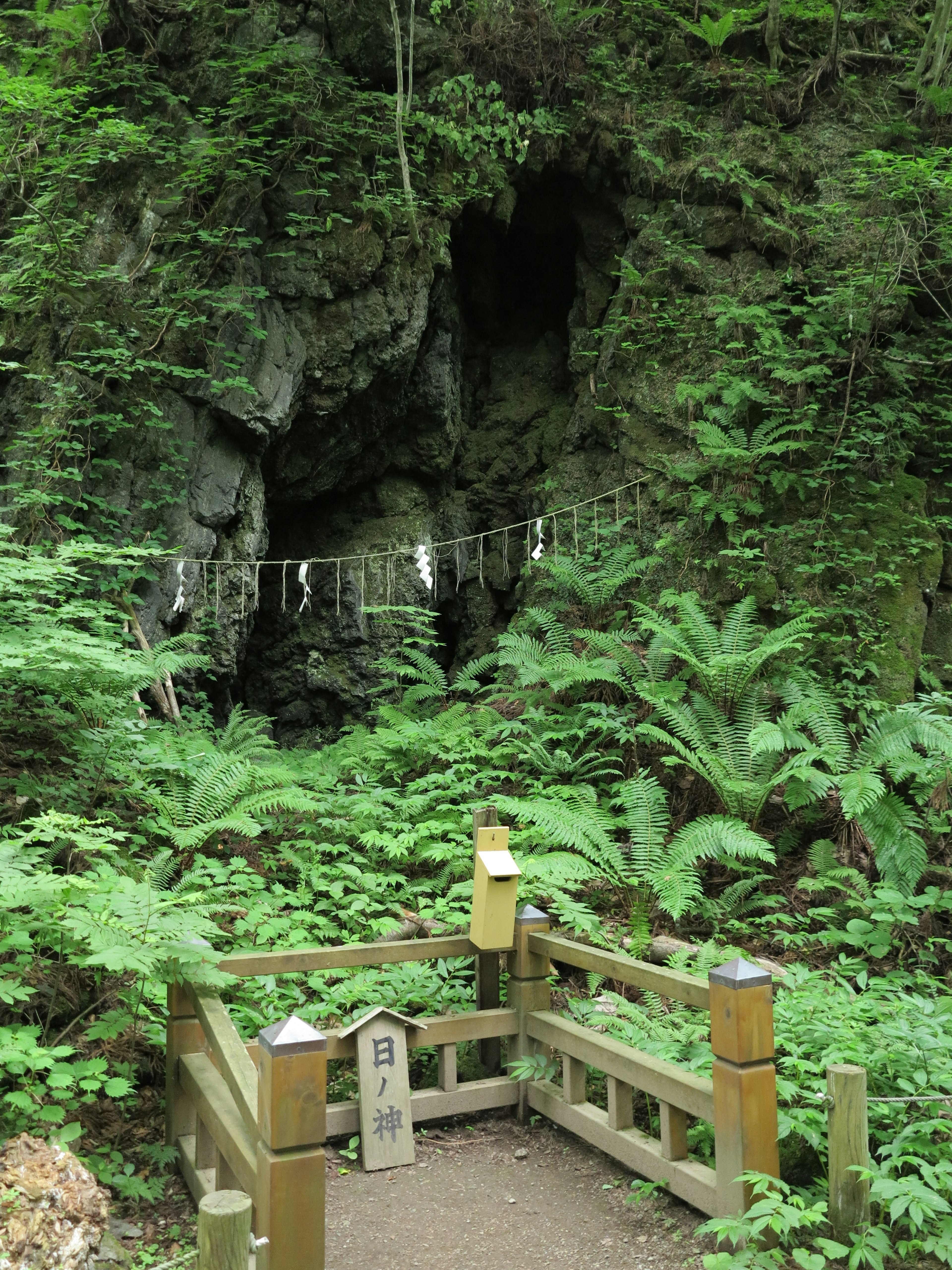 Entrada de cueva rodeada de vegetación con una plataforma de observación de madera